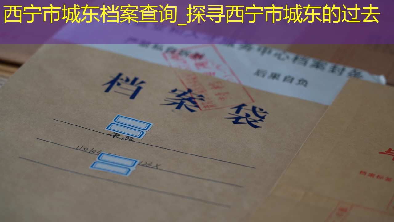 档案查询