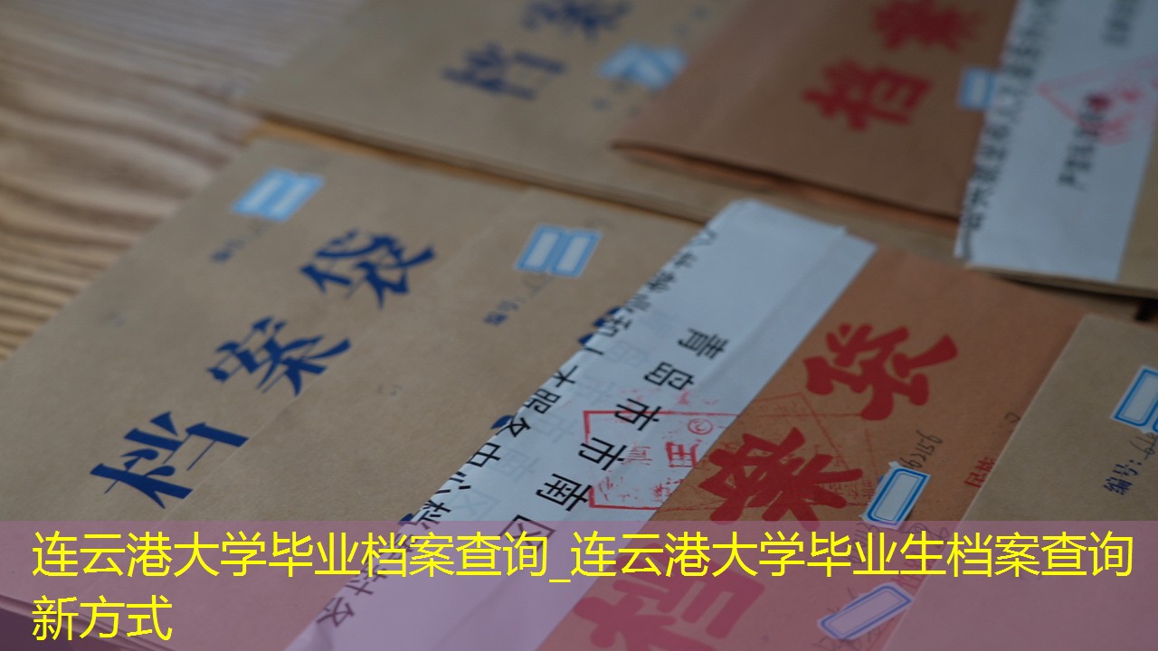 档案查询