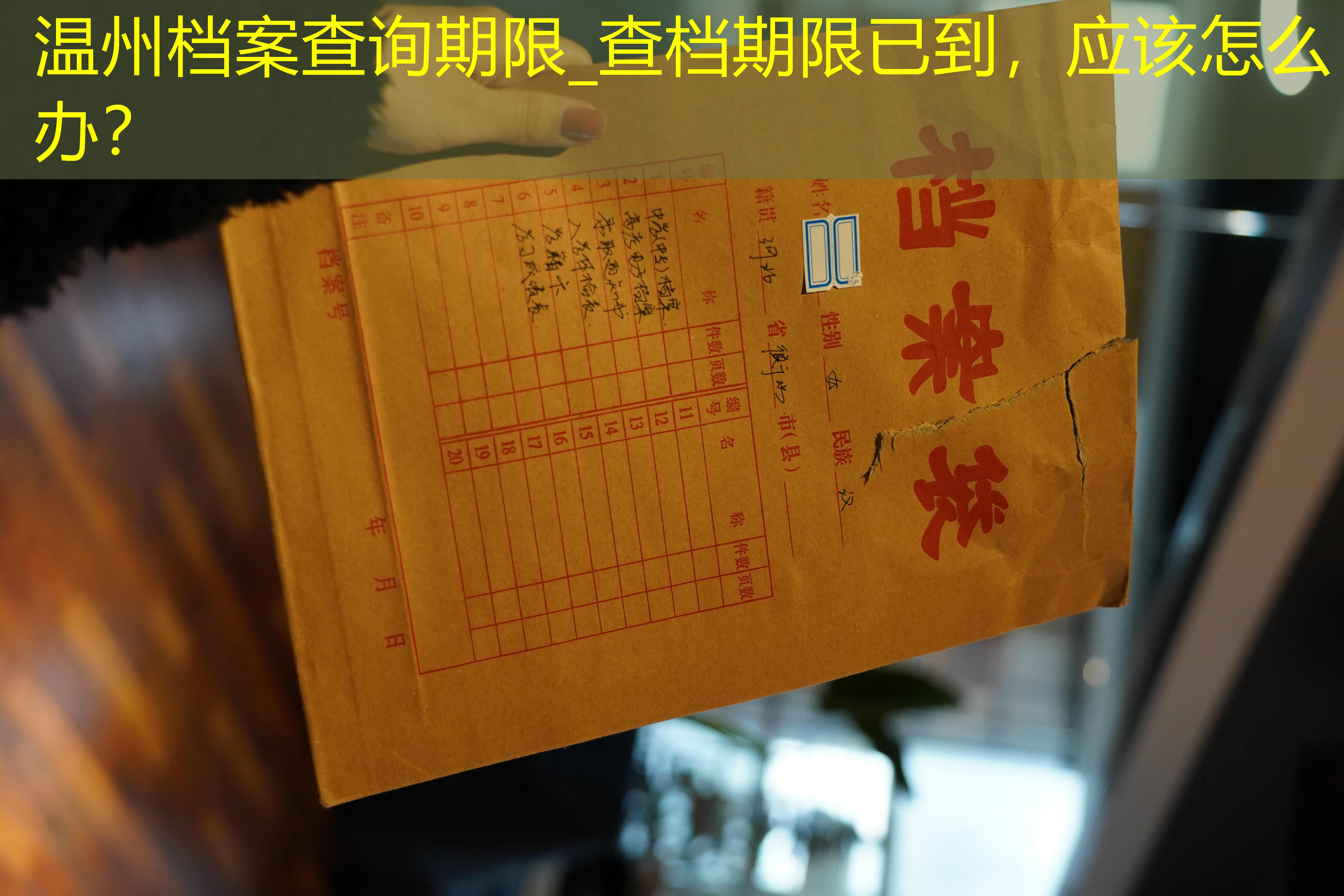 档案查询