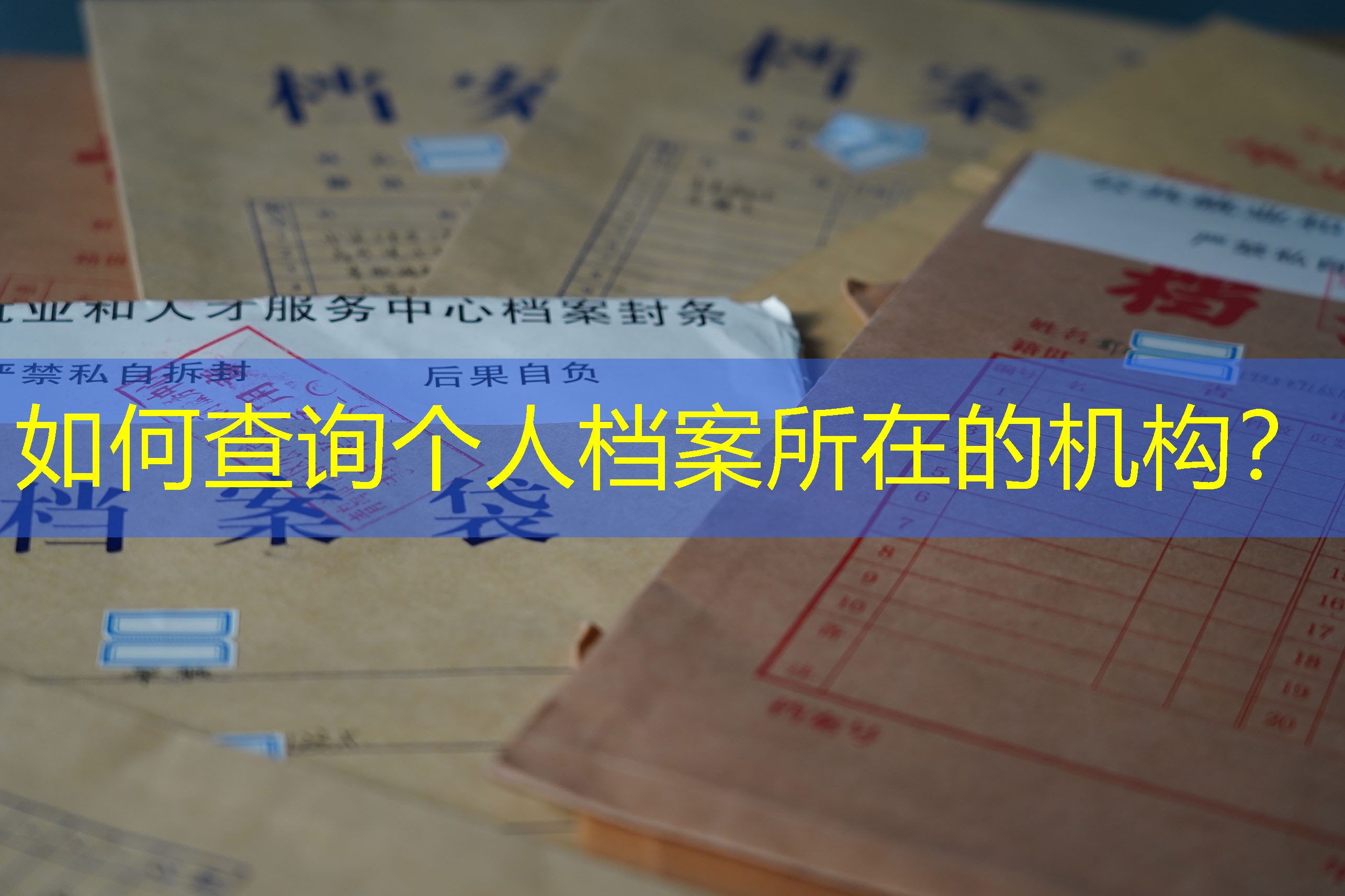 档案查询