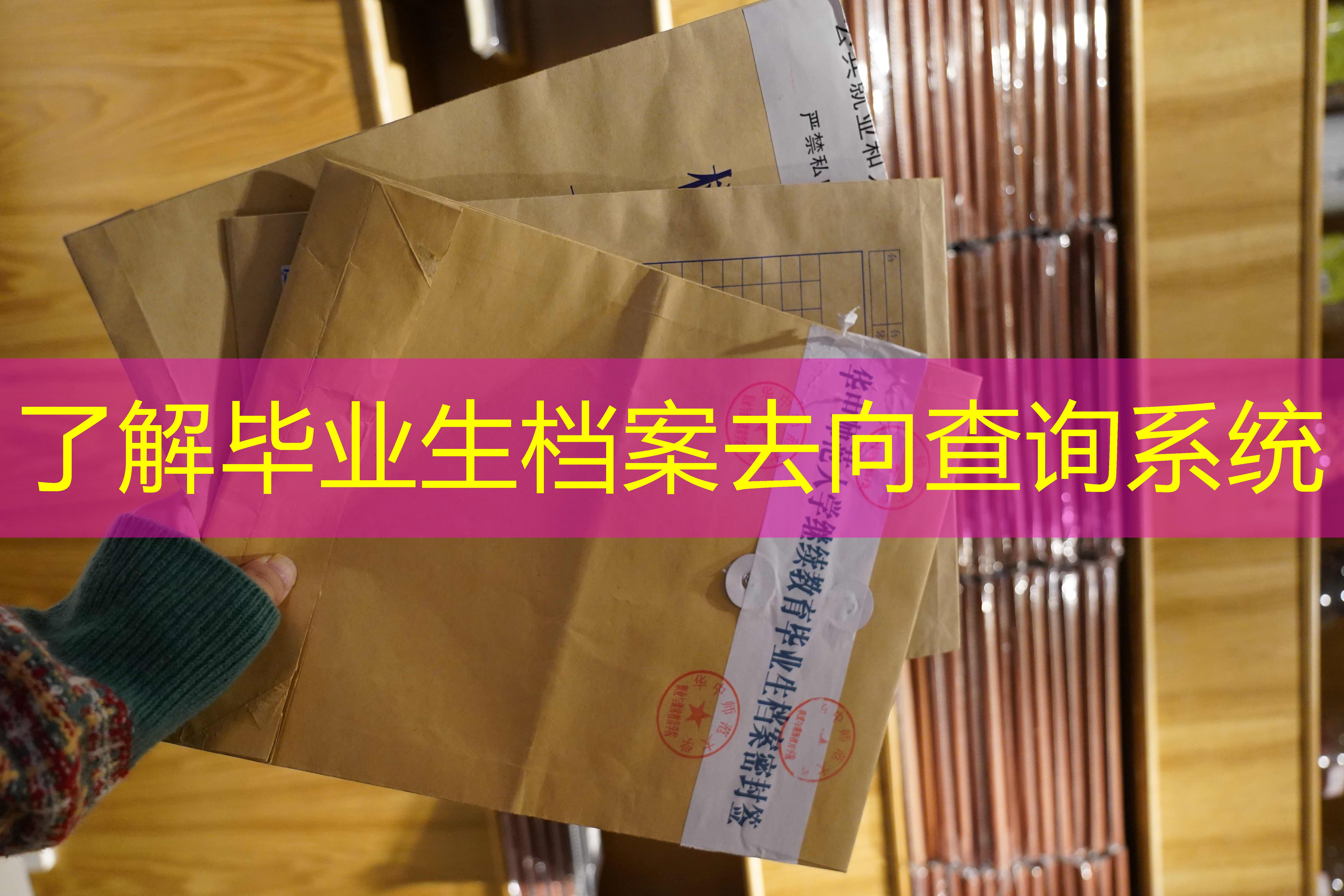 档案查询