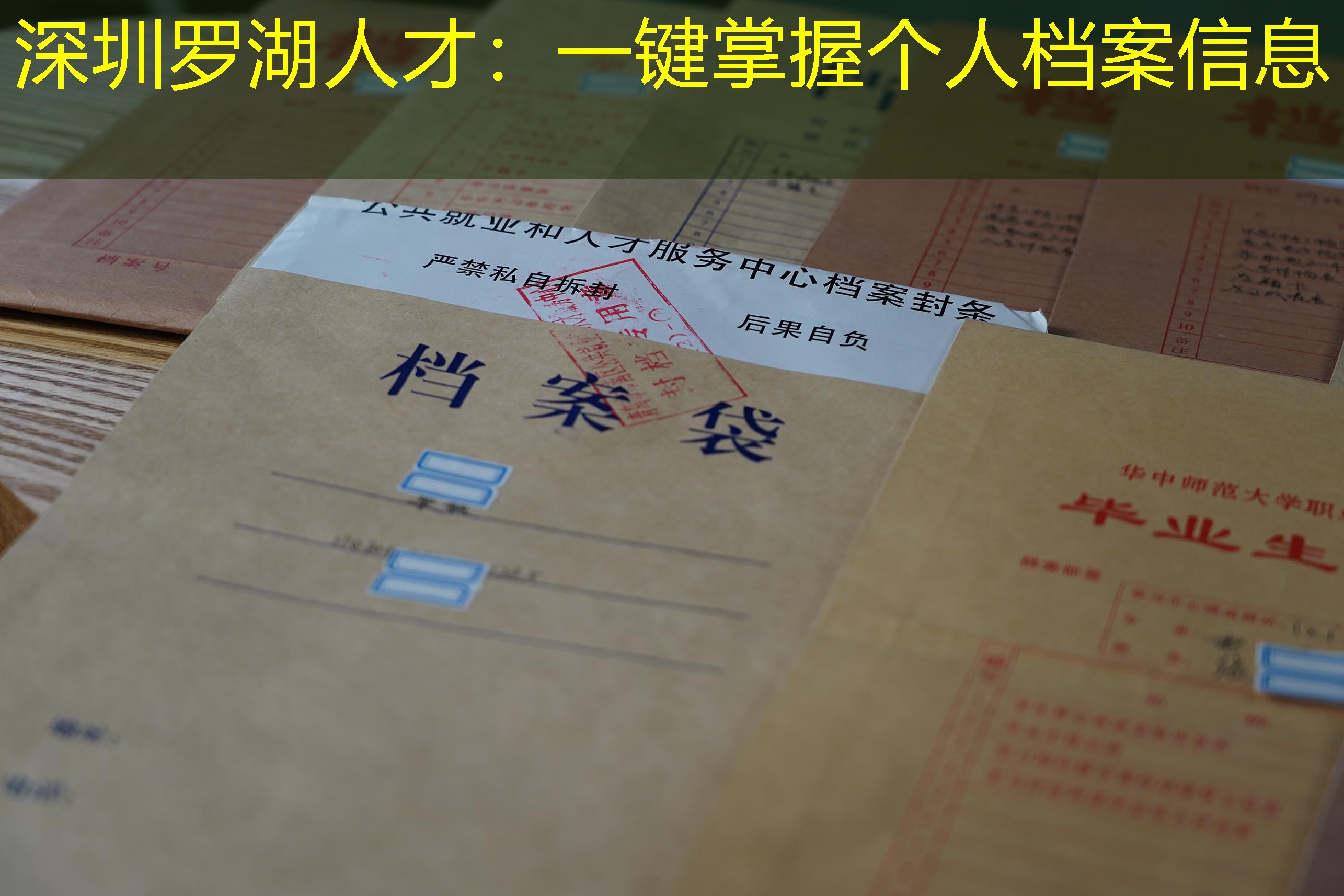 档案查询