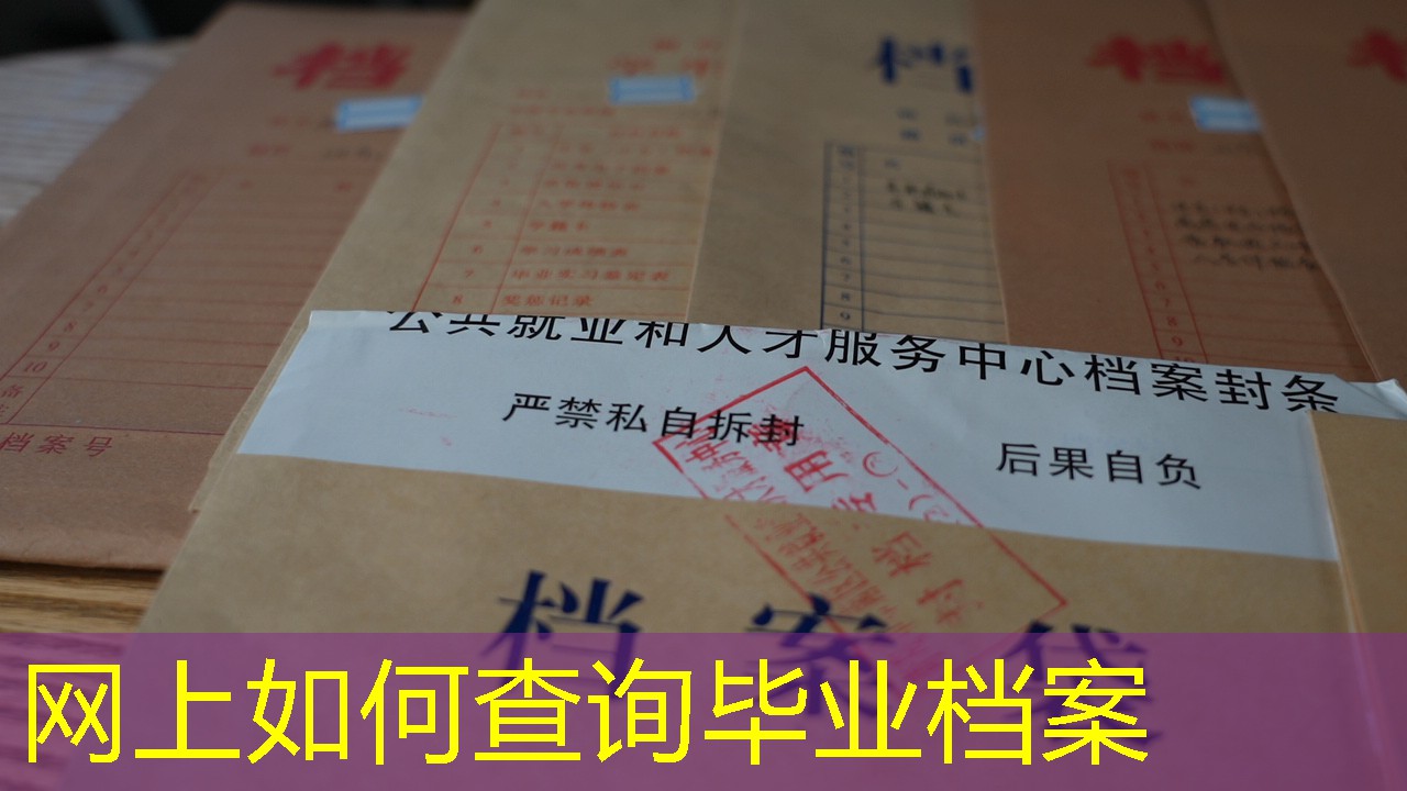 档案查询