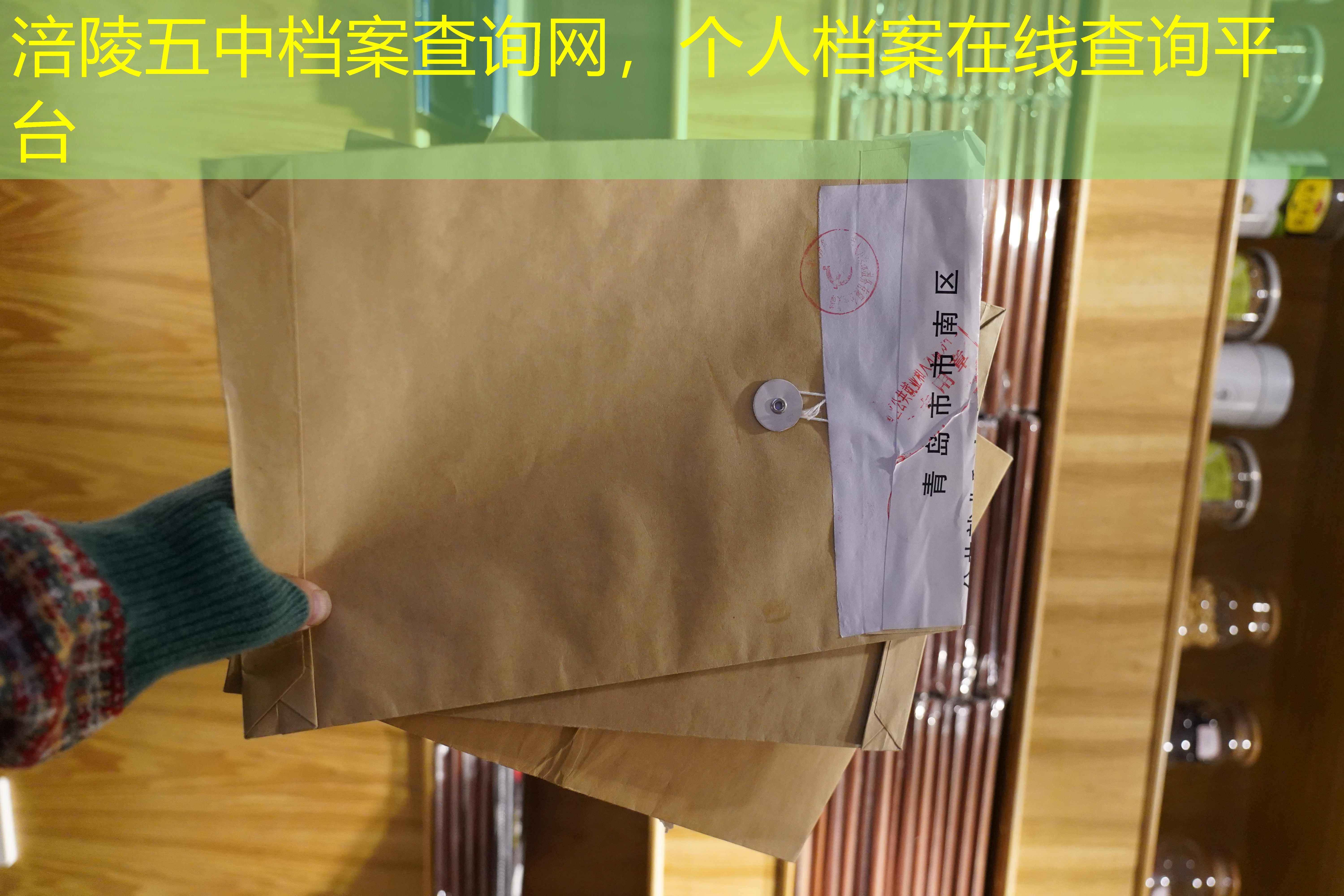 档案查询