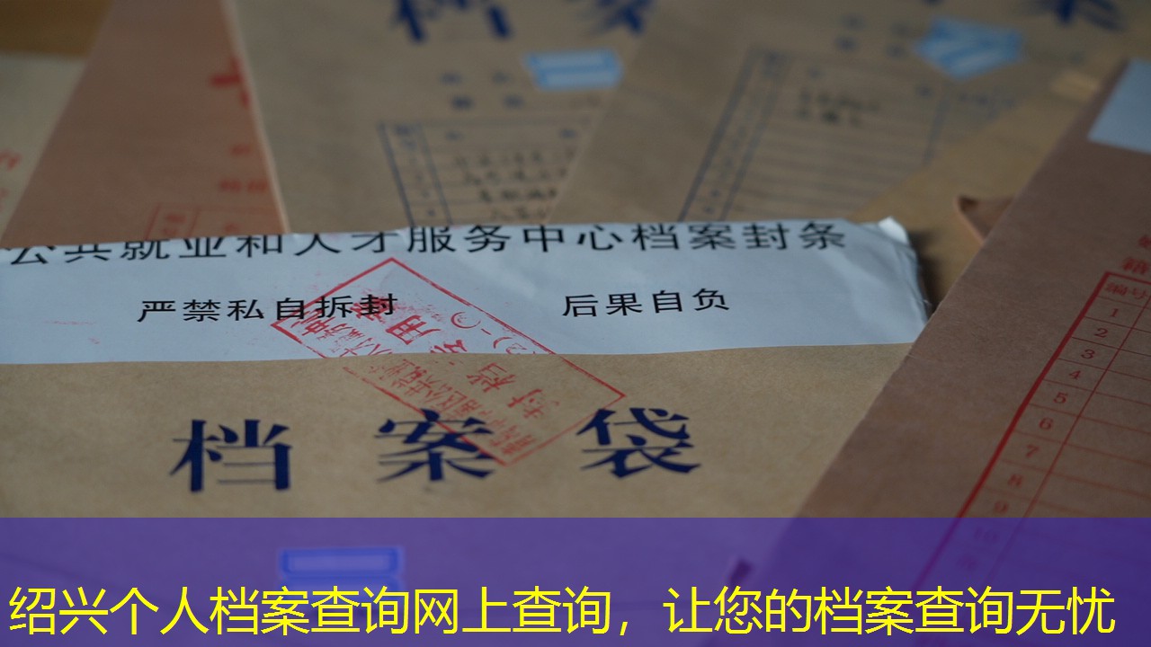 档案查询