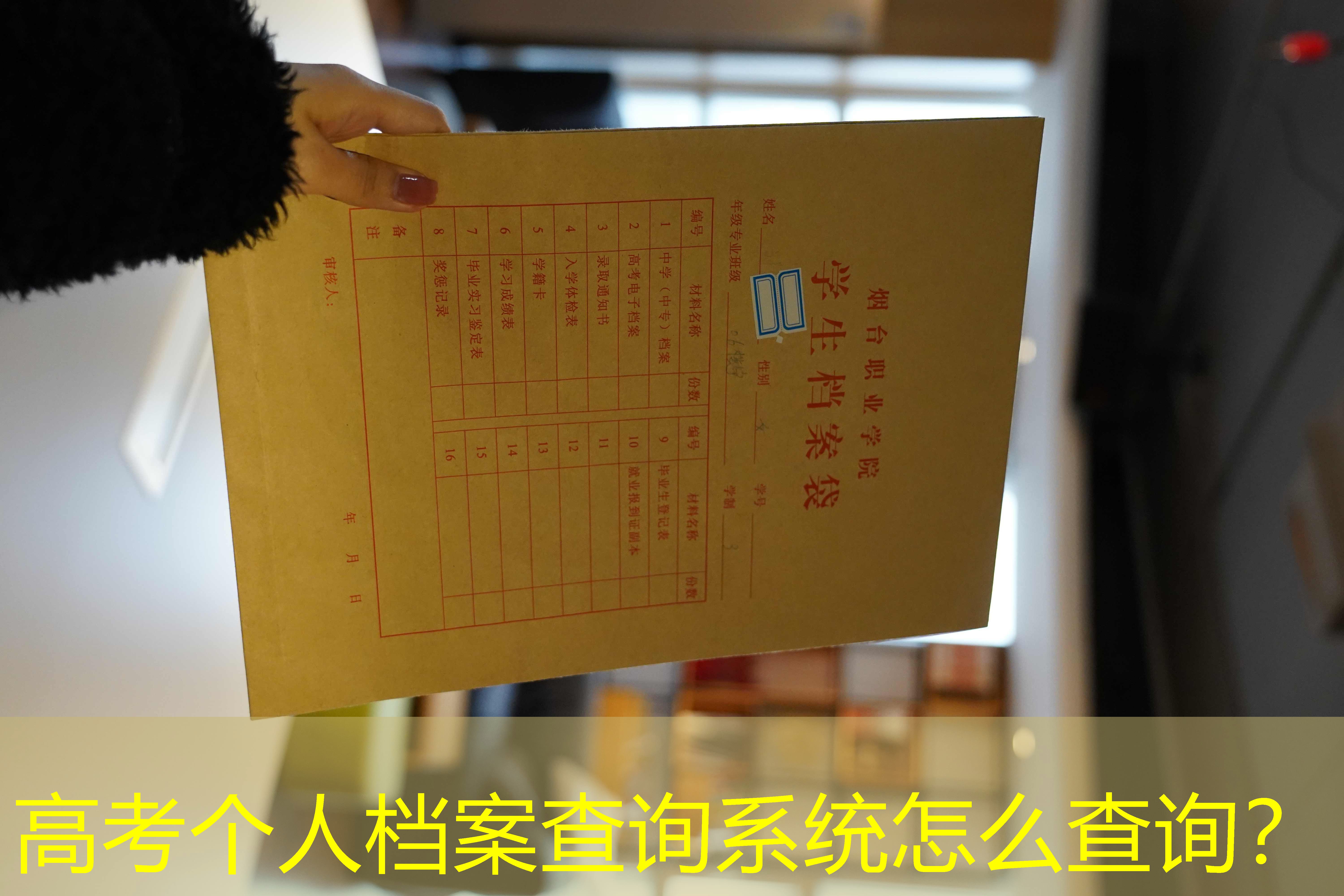 档案查询
