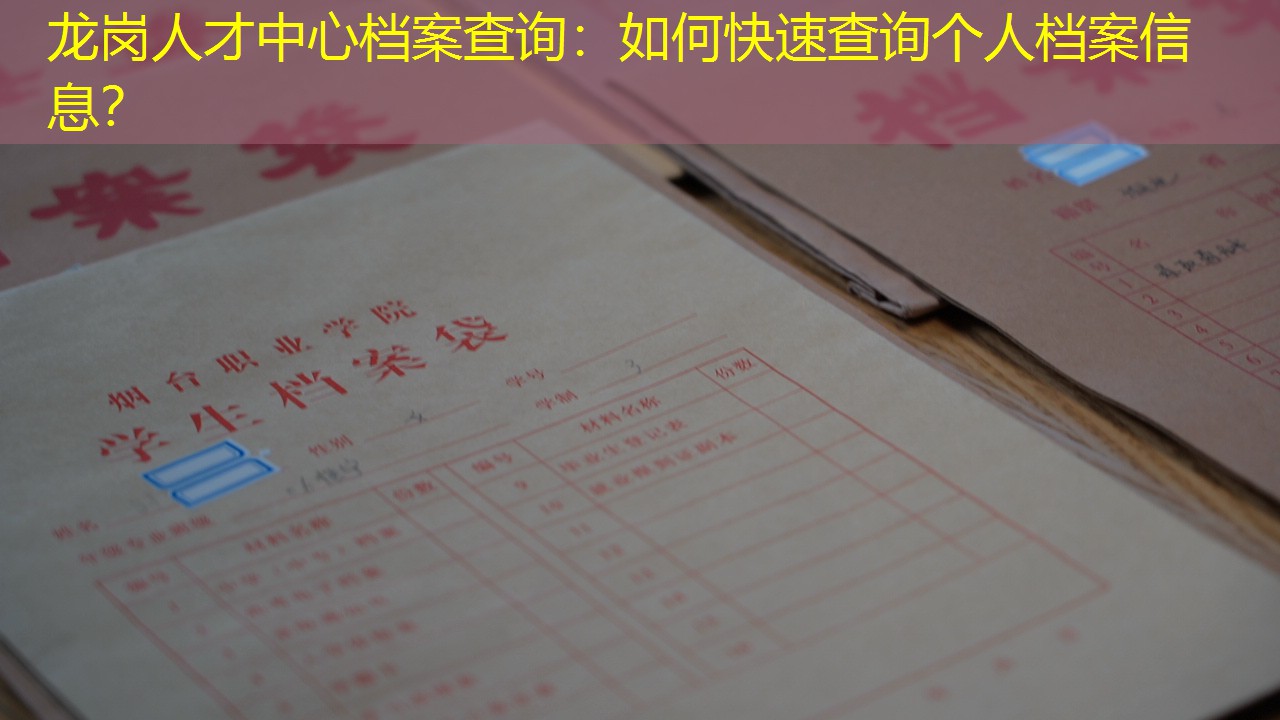 档案查询
