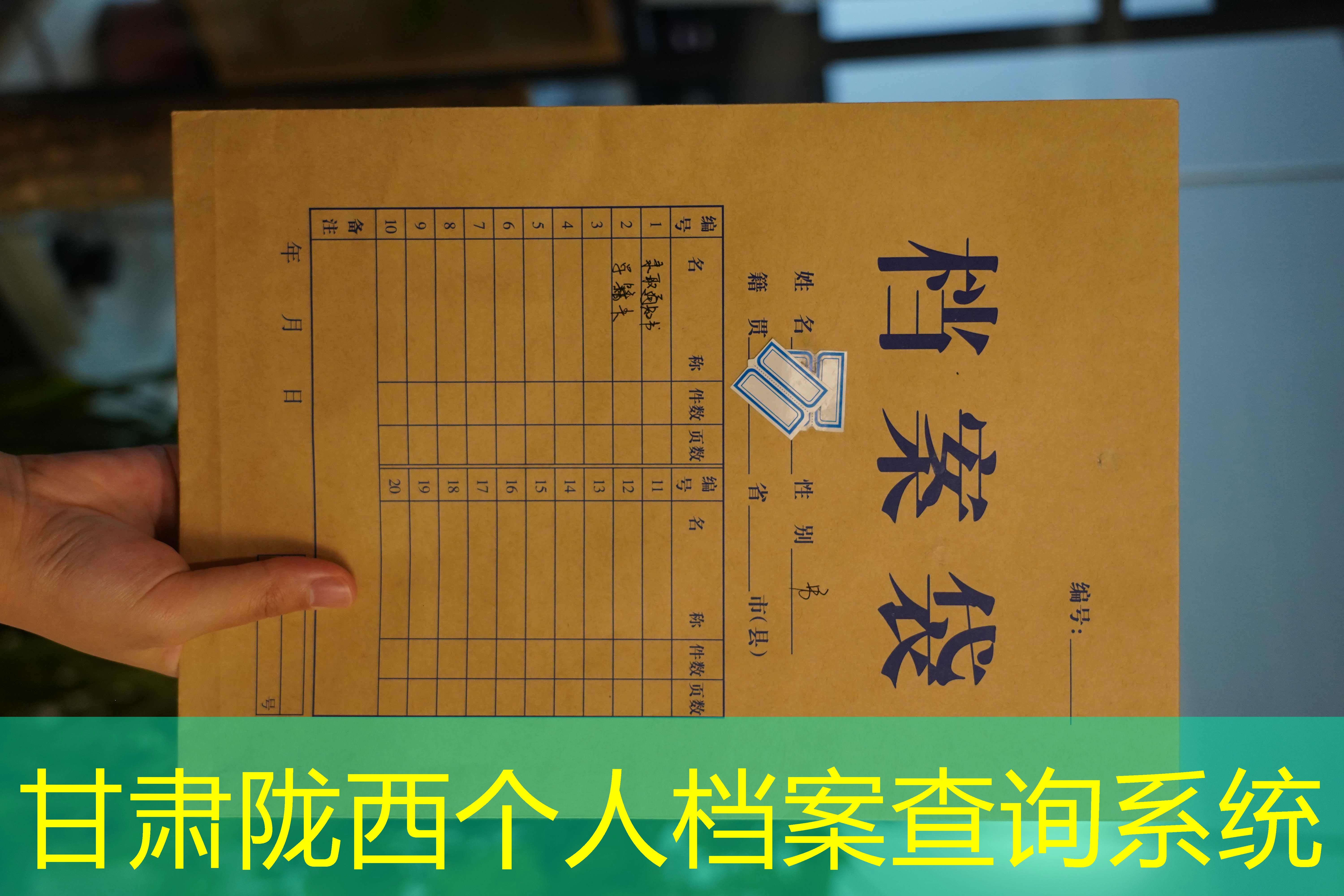 档案查询