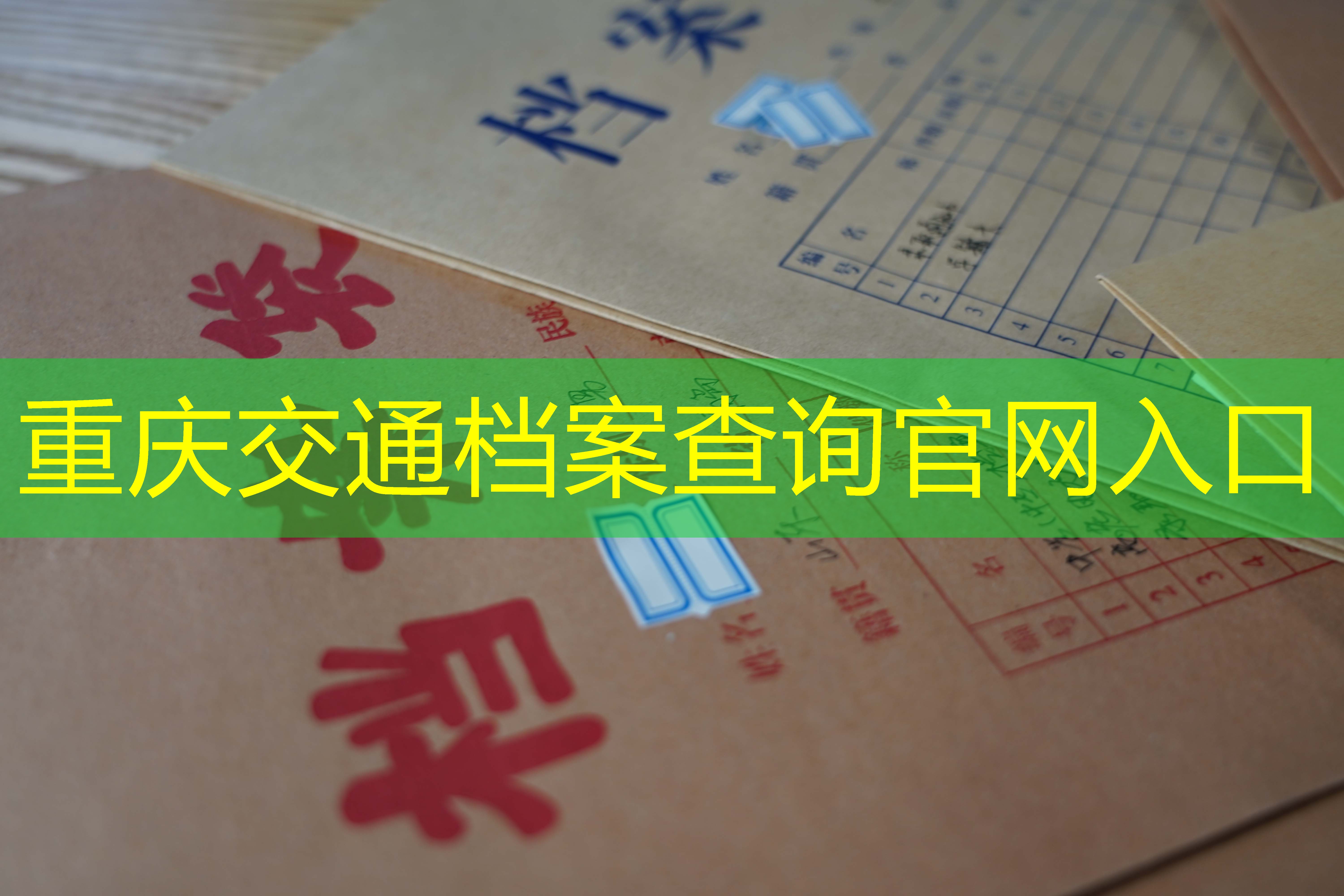 档案查询
