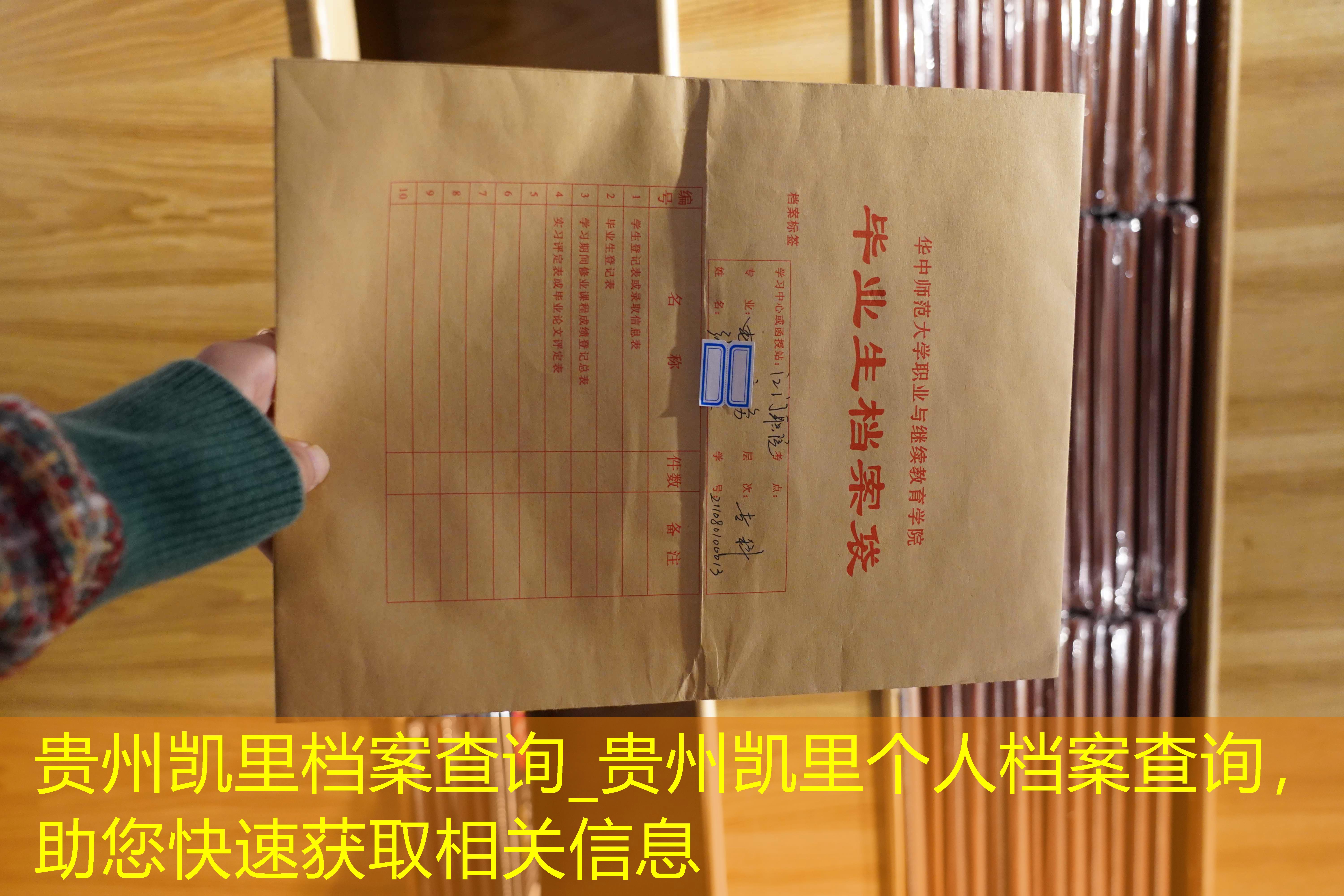 档案查询