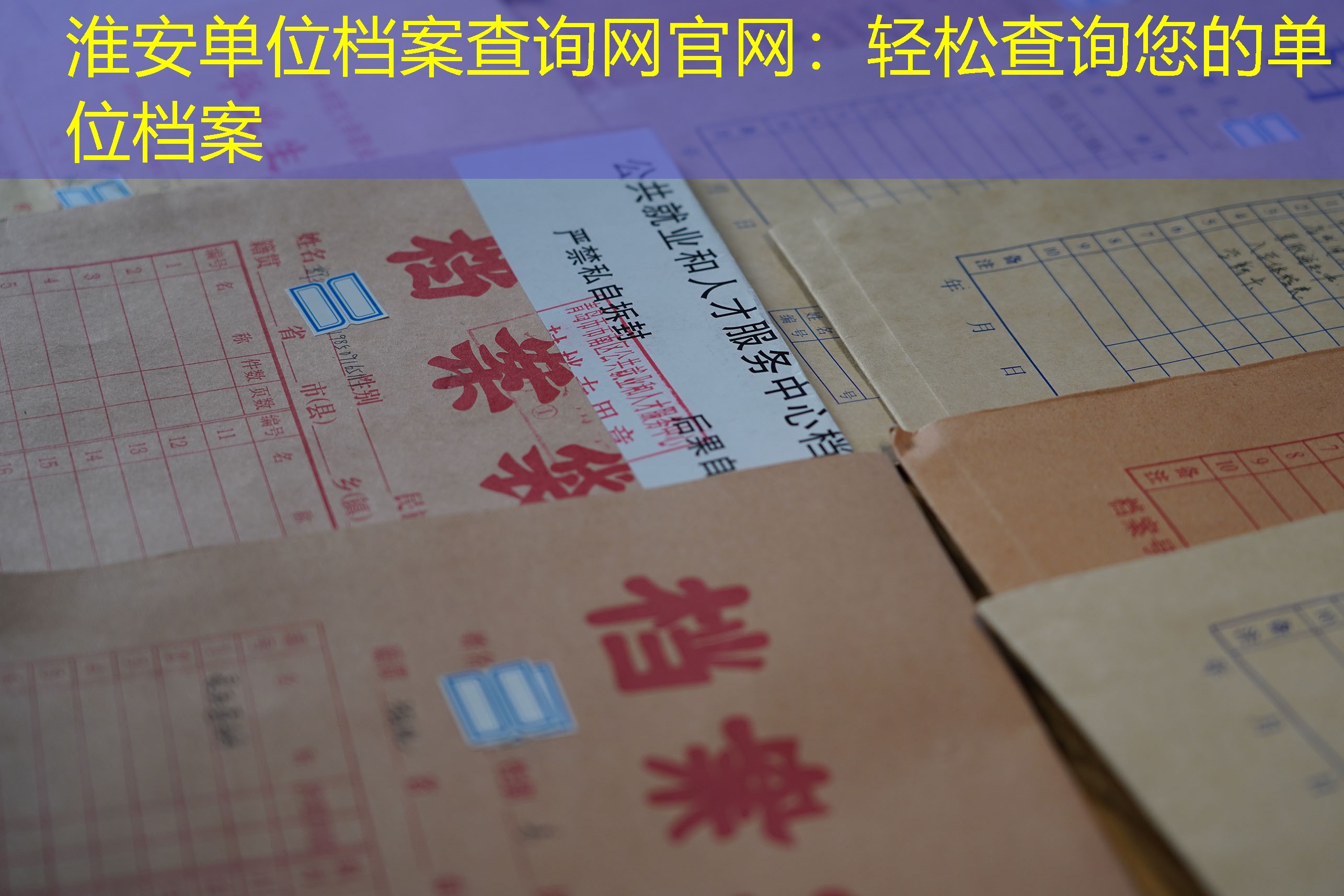 档案查询