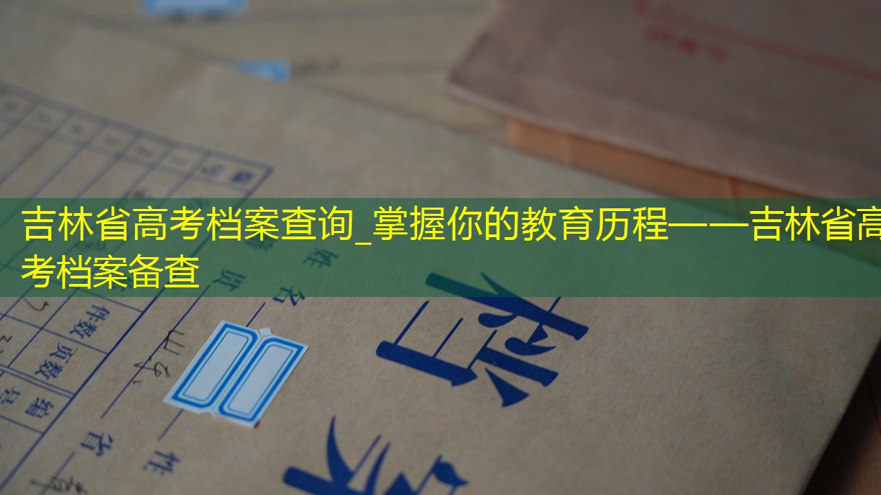 档案查询