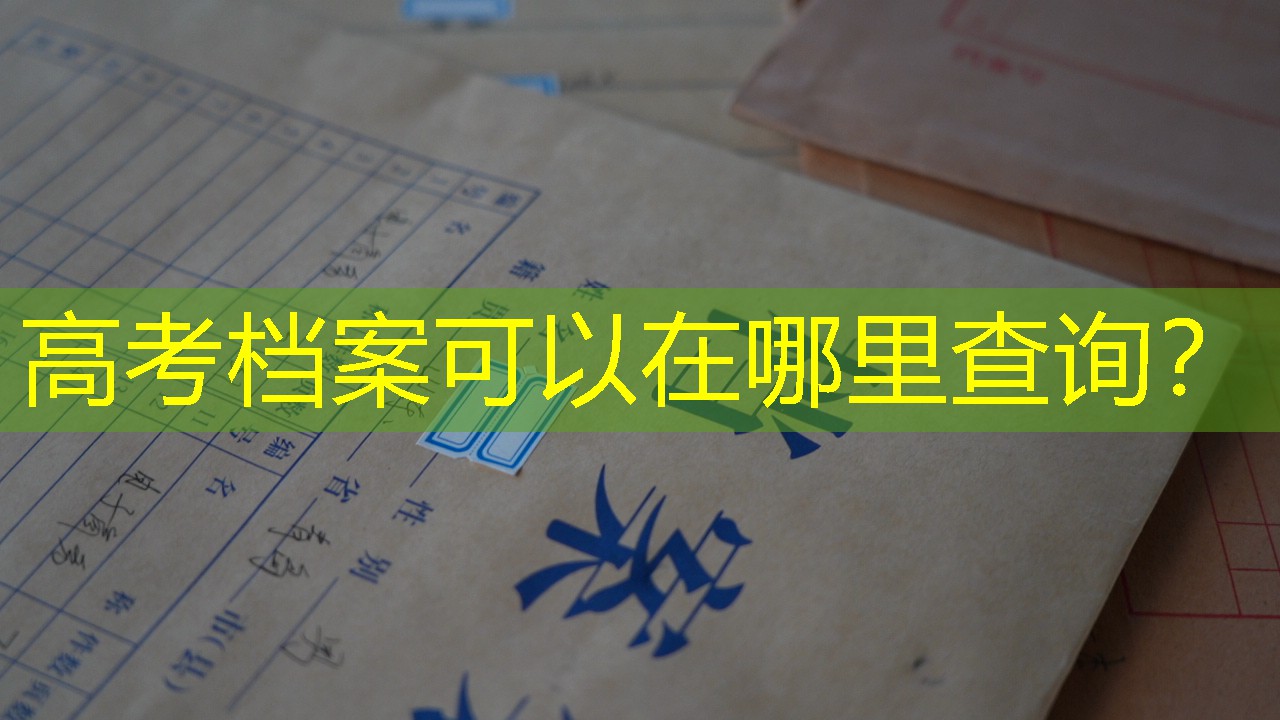 档案查询