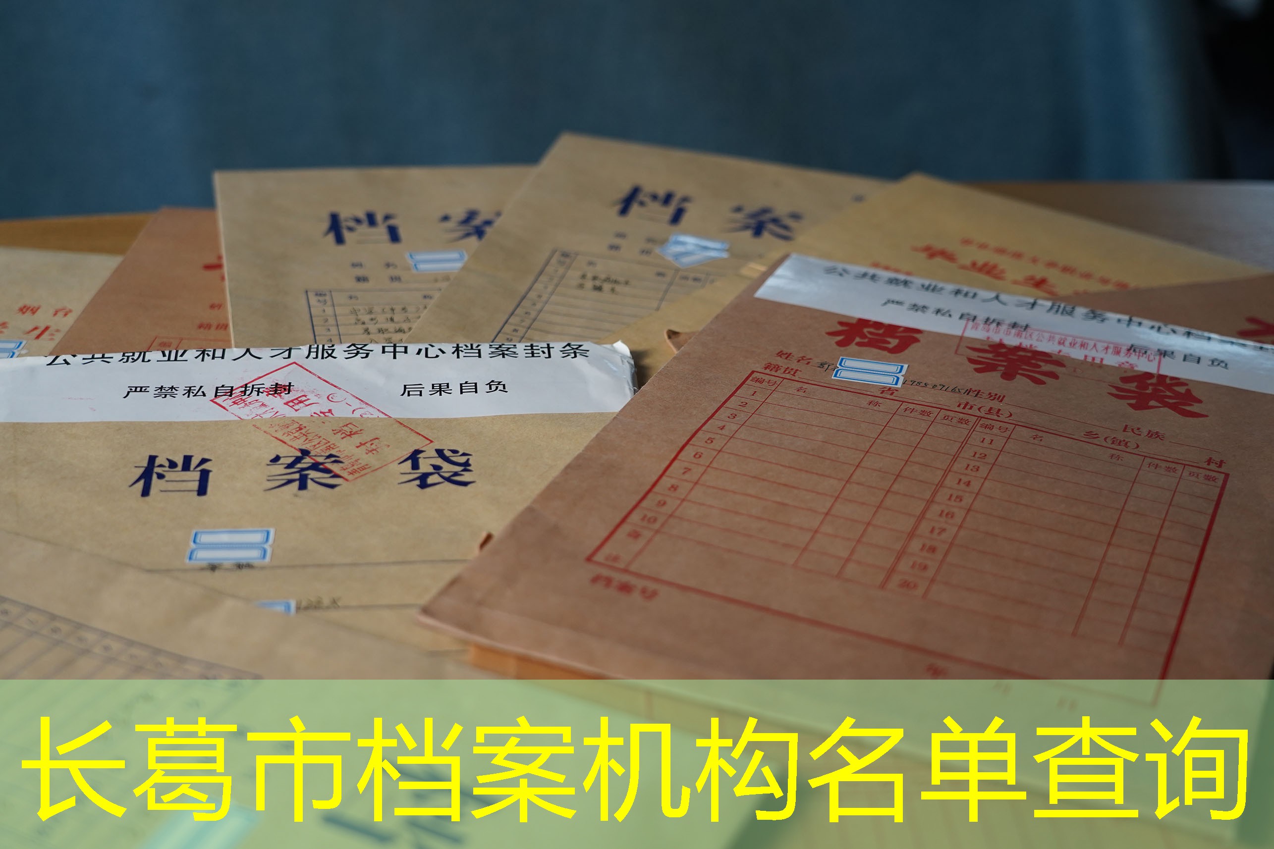 档案查询