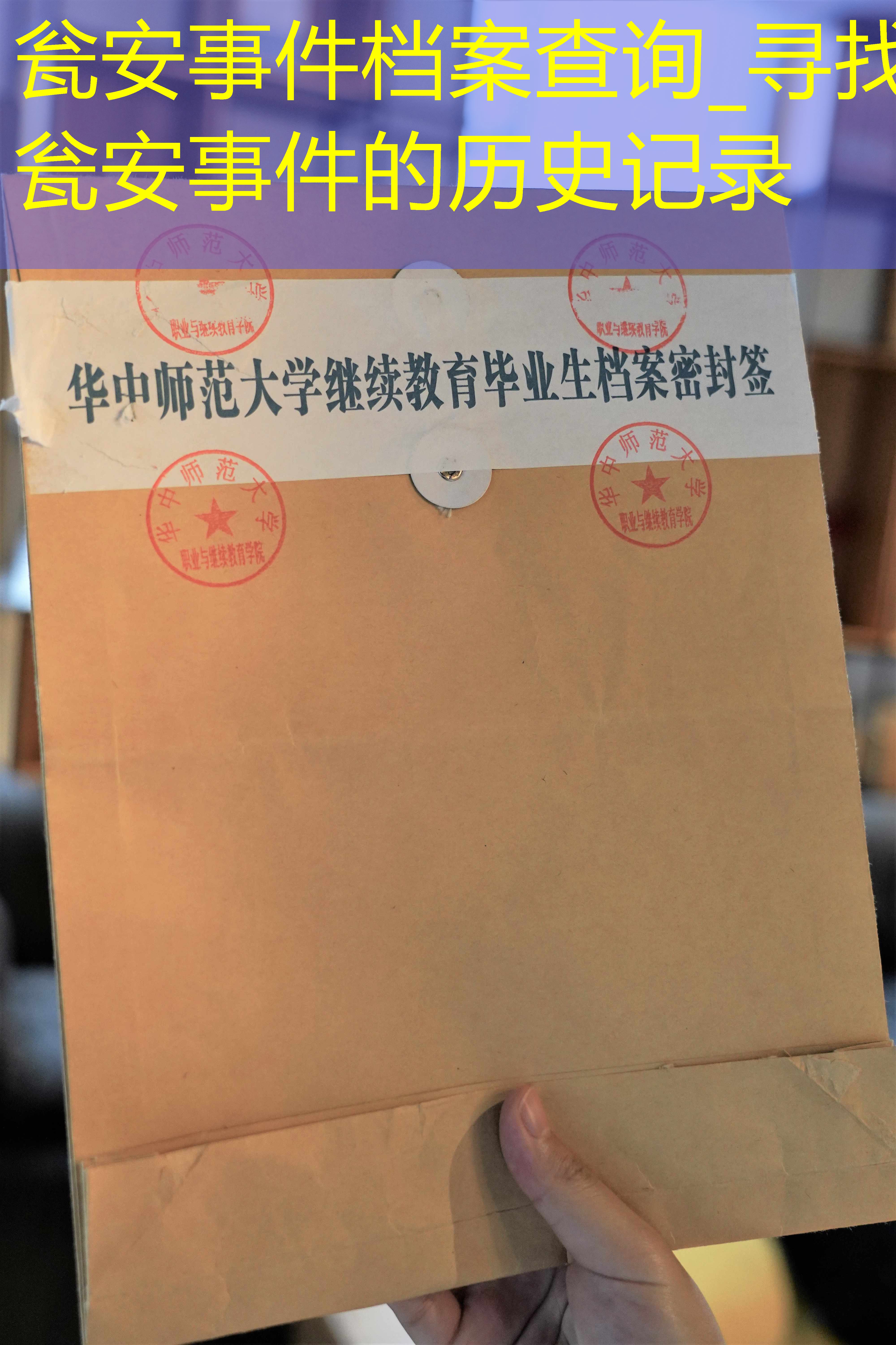 档案查询