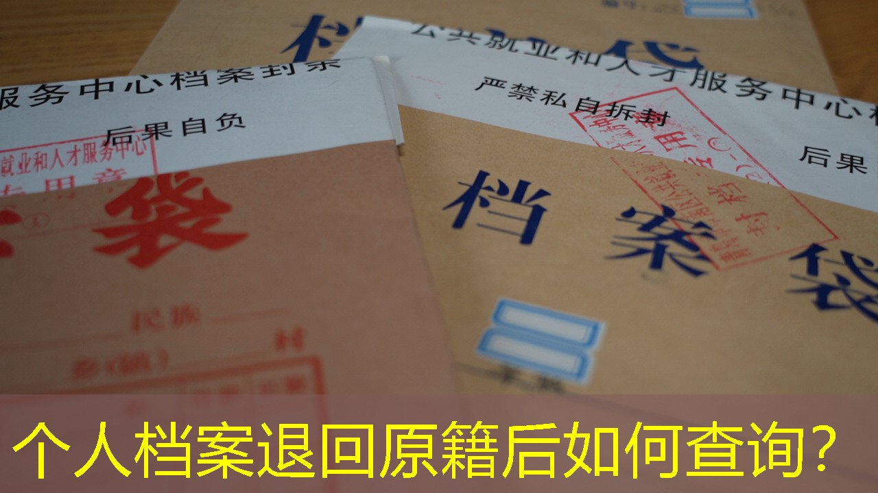 档案查询