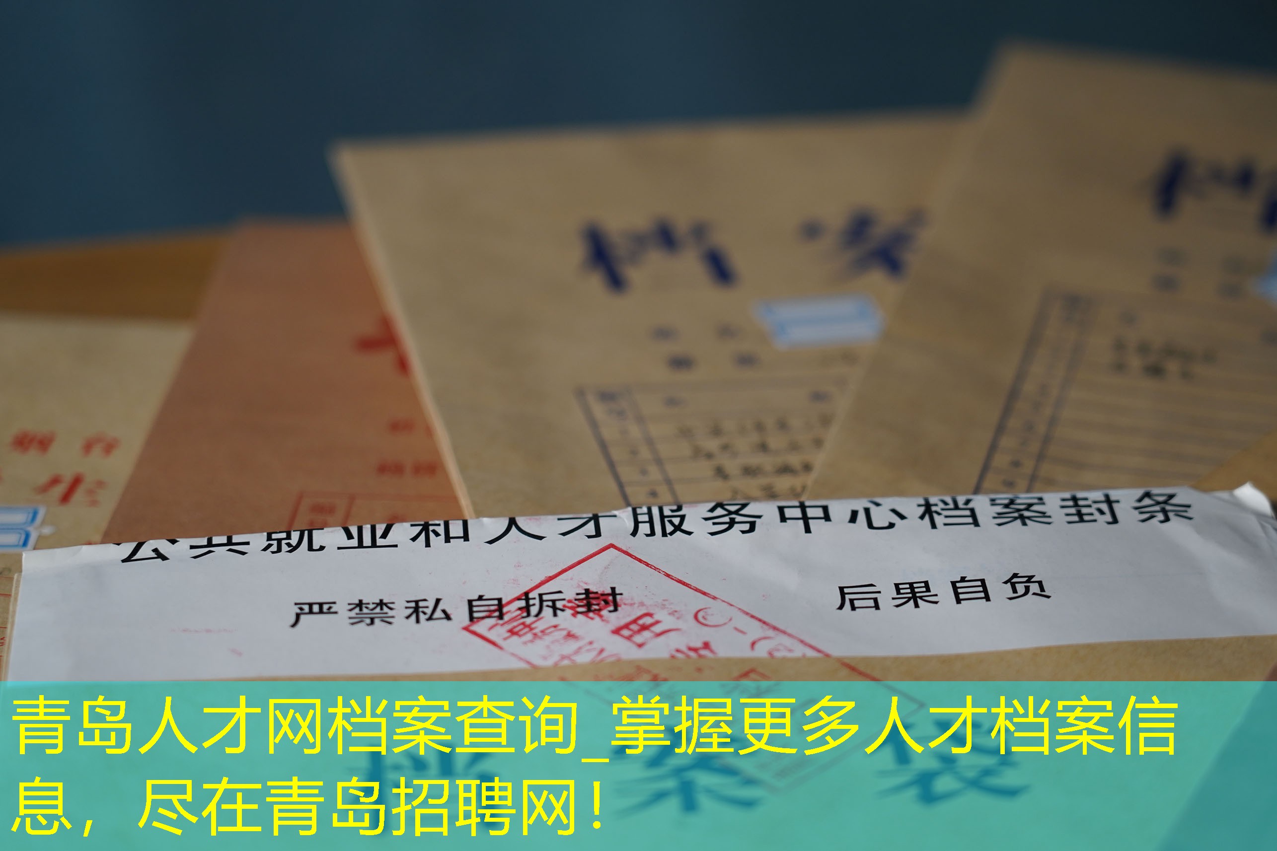 档案查询