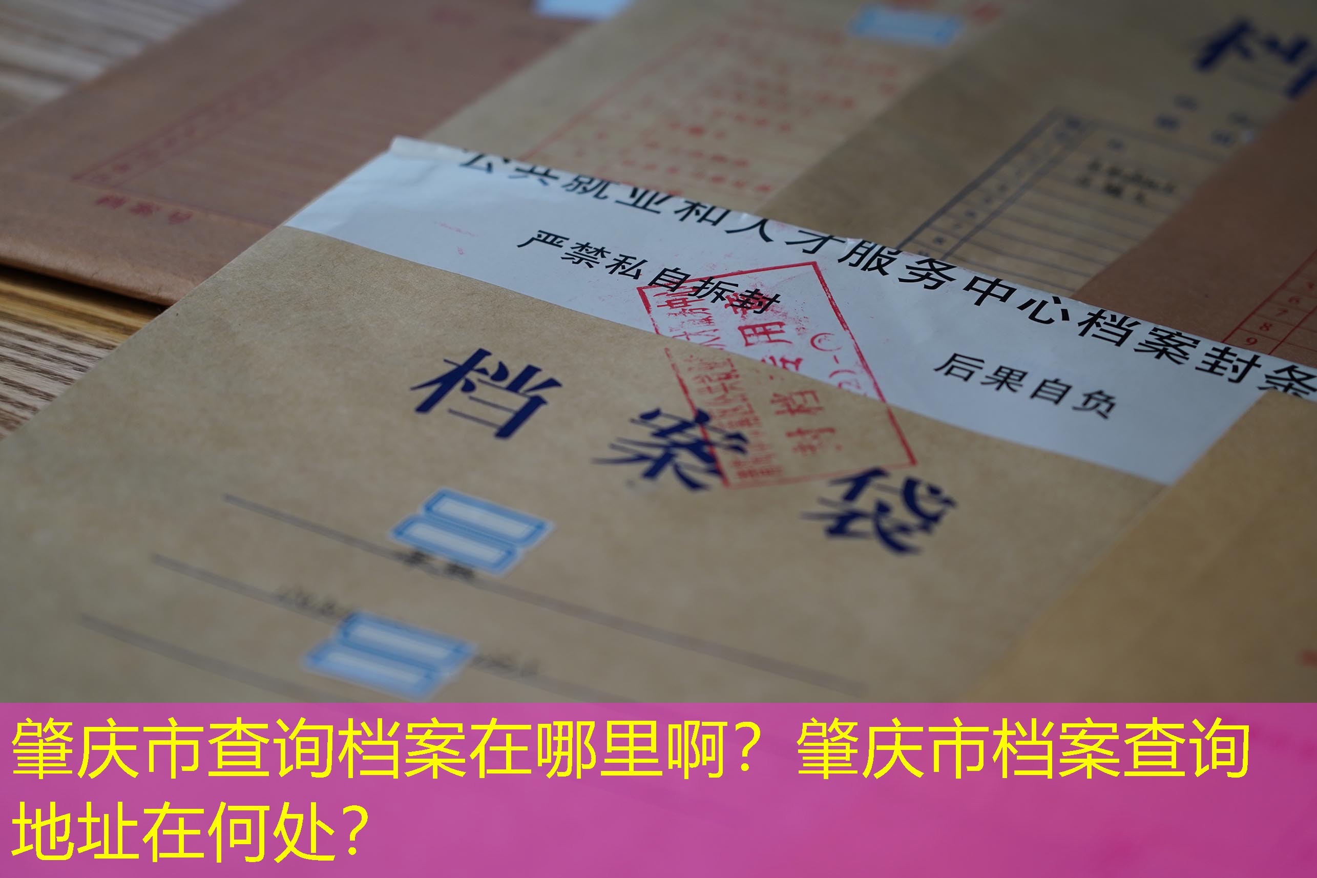 档案查询