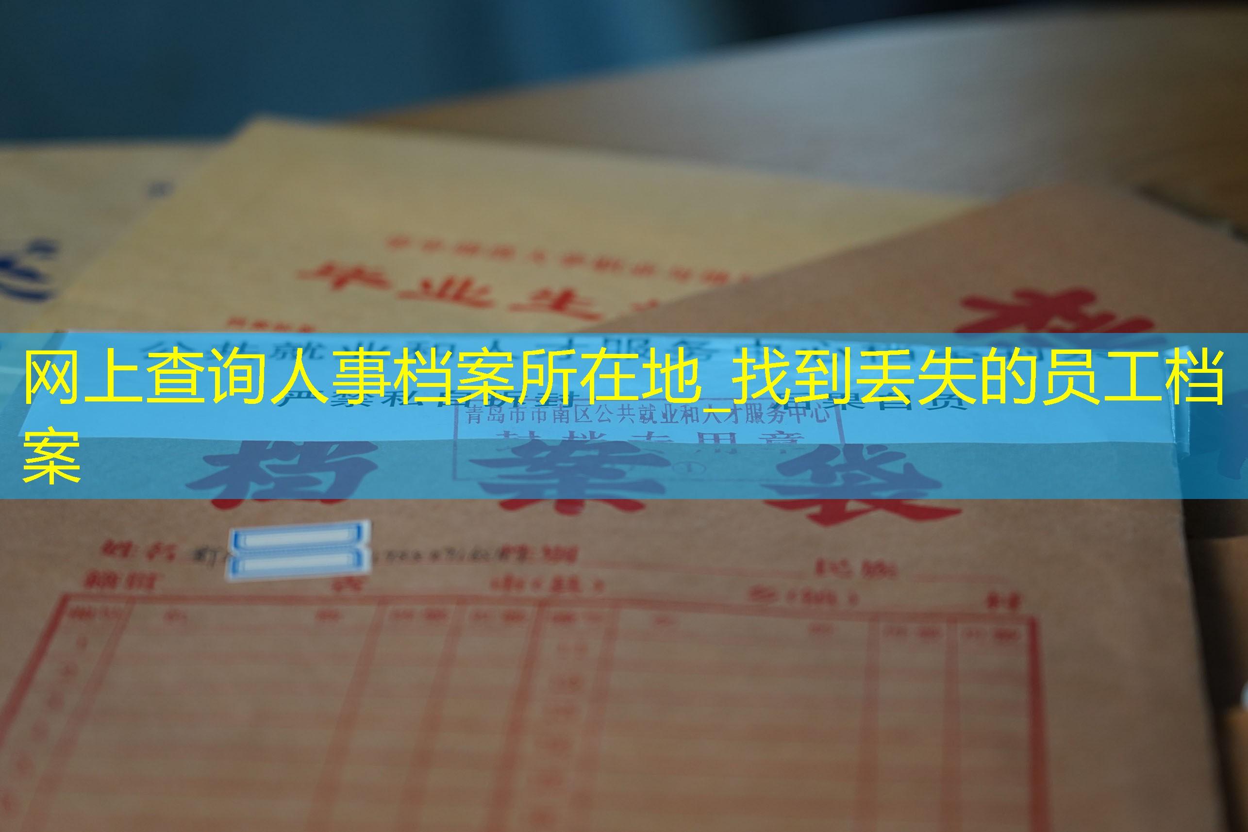 档案查询