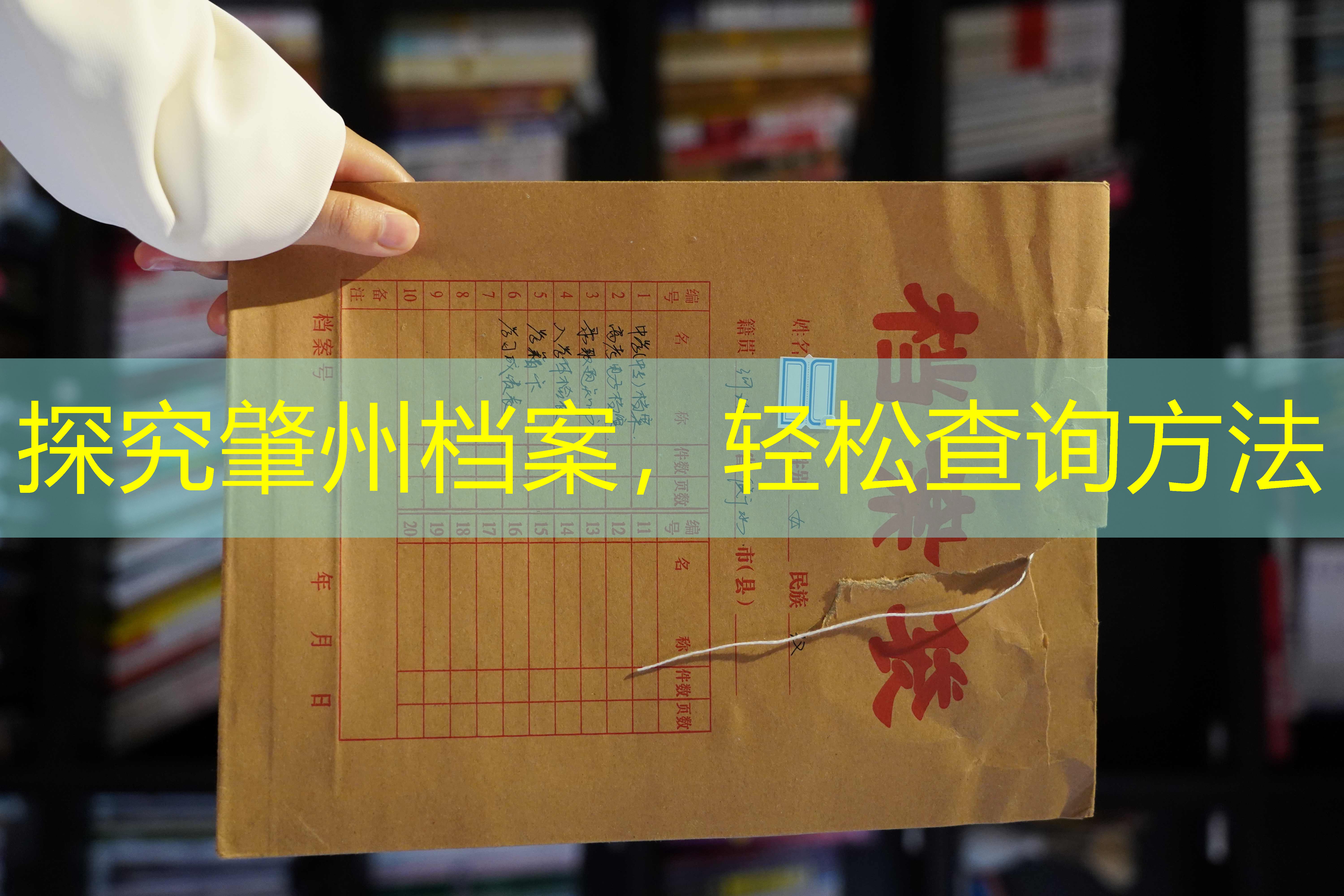 档案查询