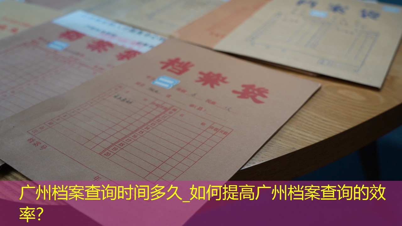 档案查询