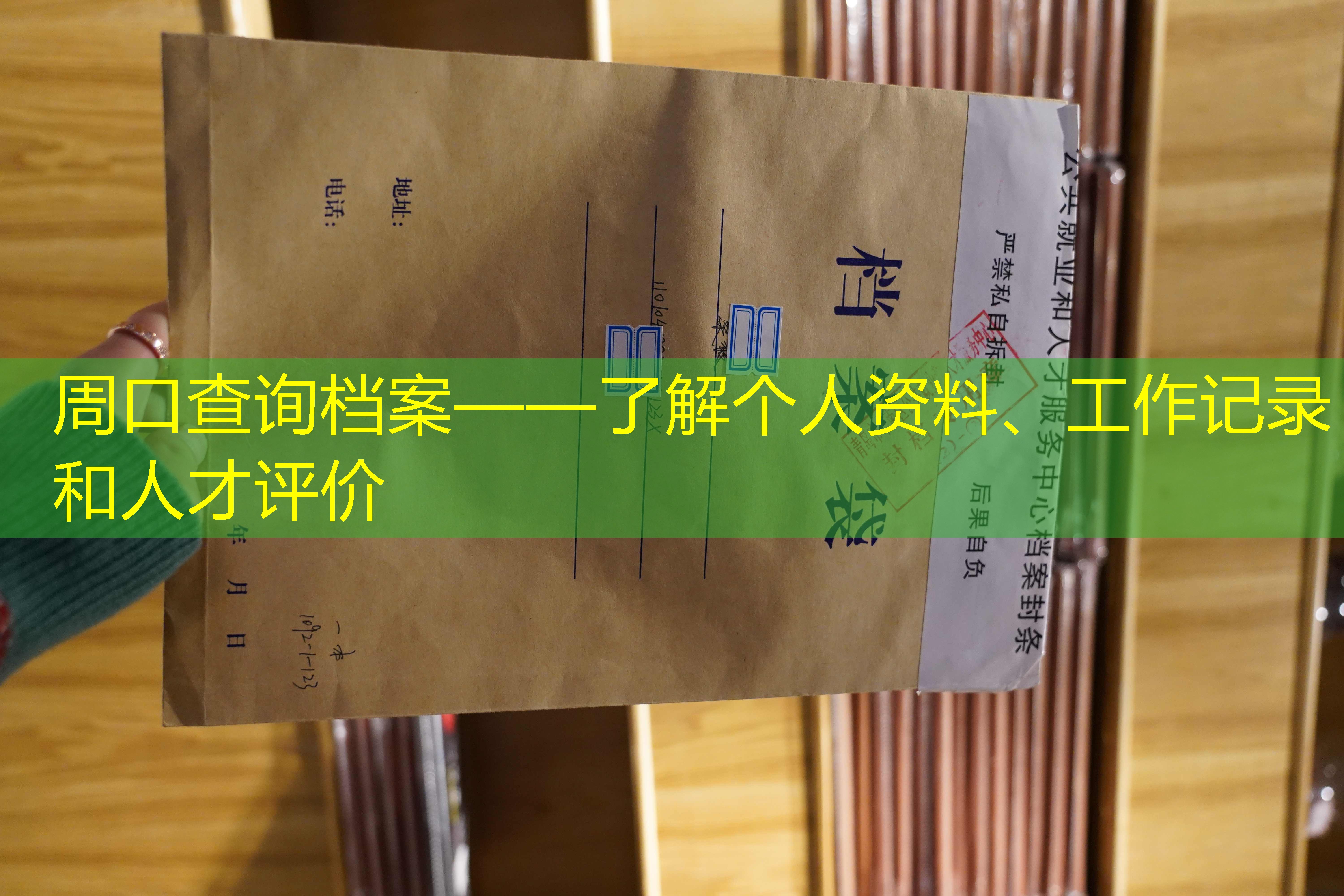 档案查询