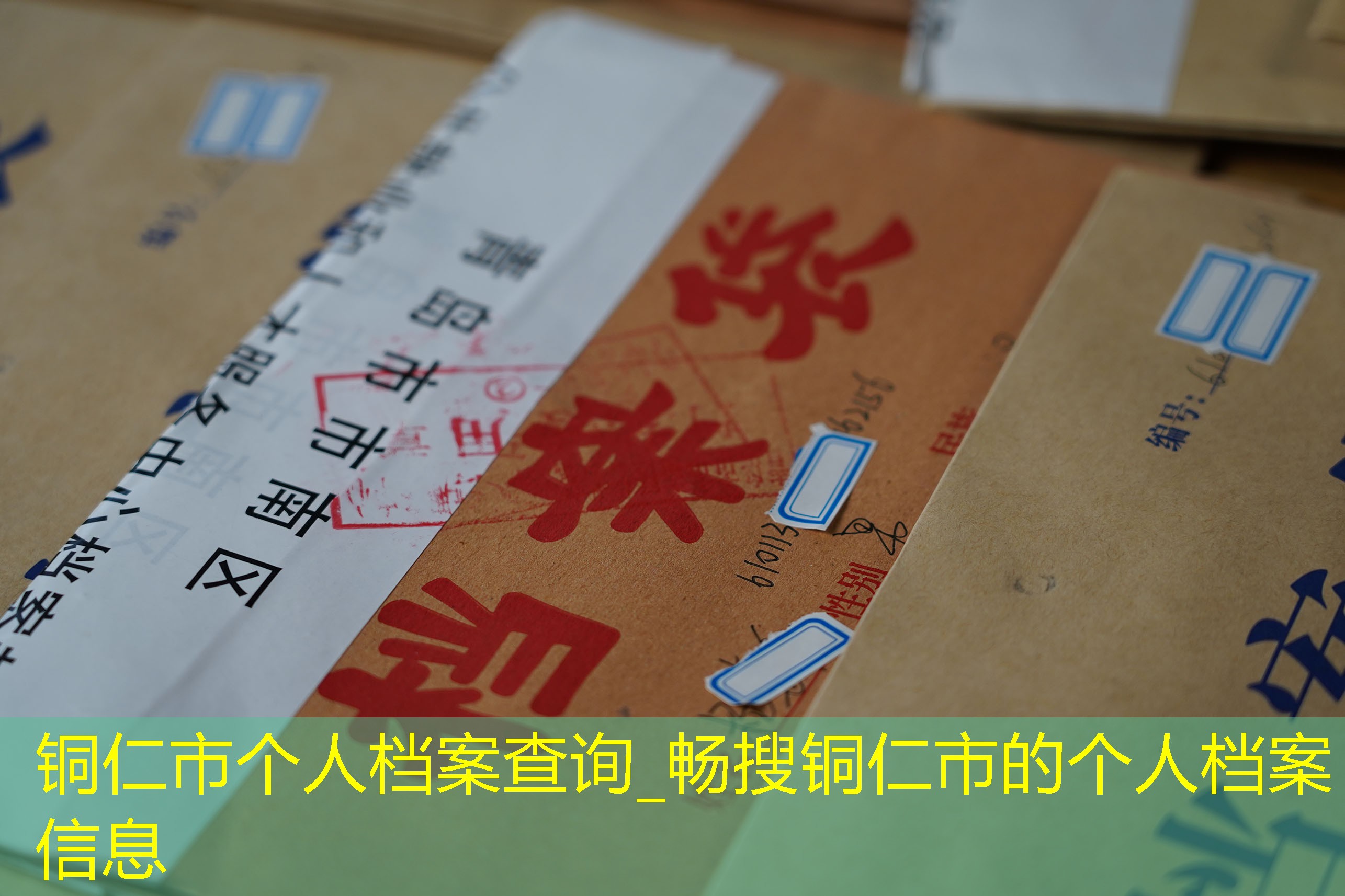 档案查询