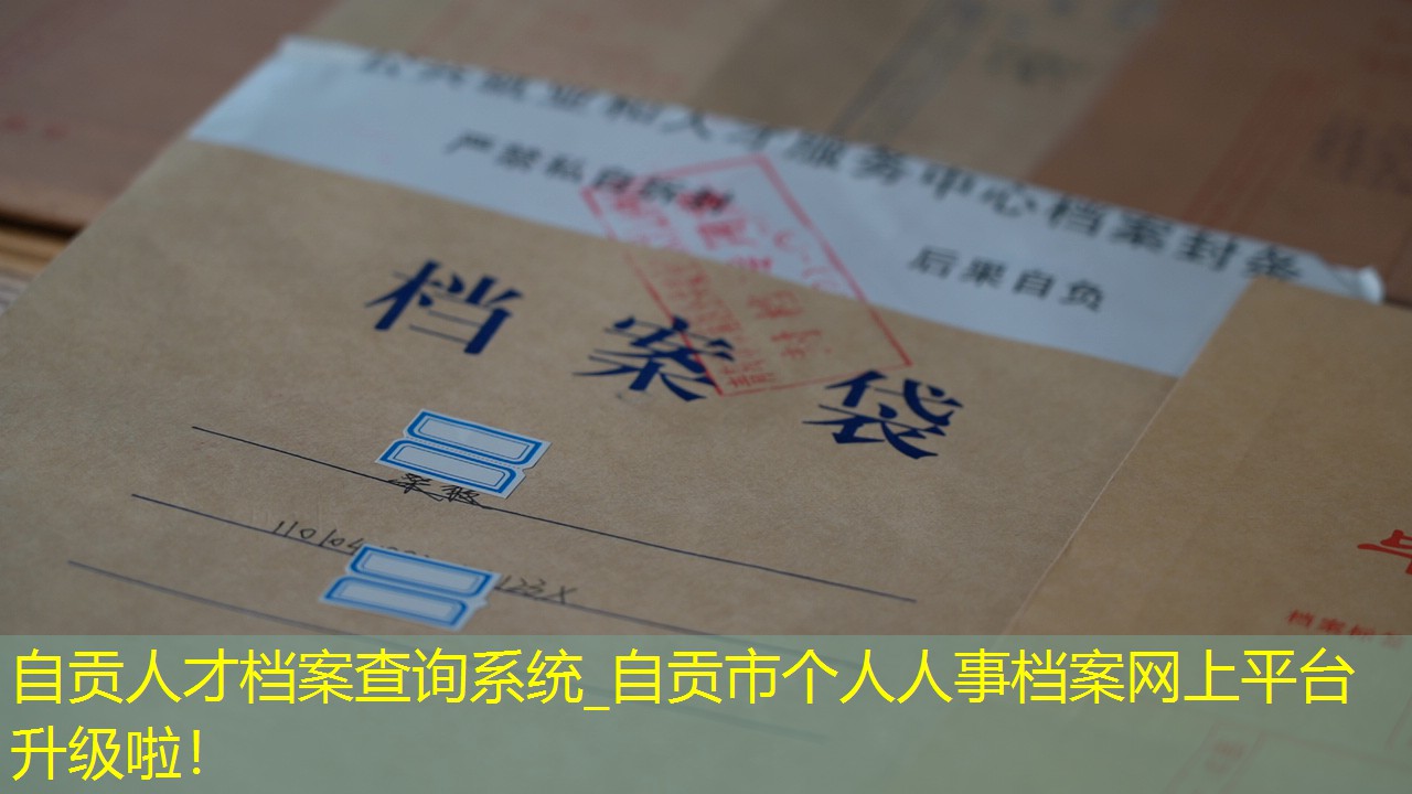 档案查询