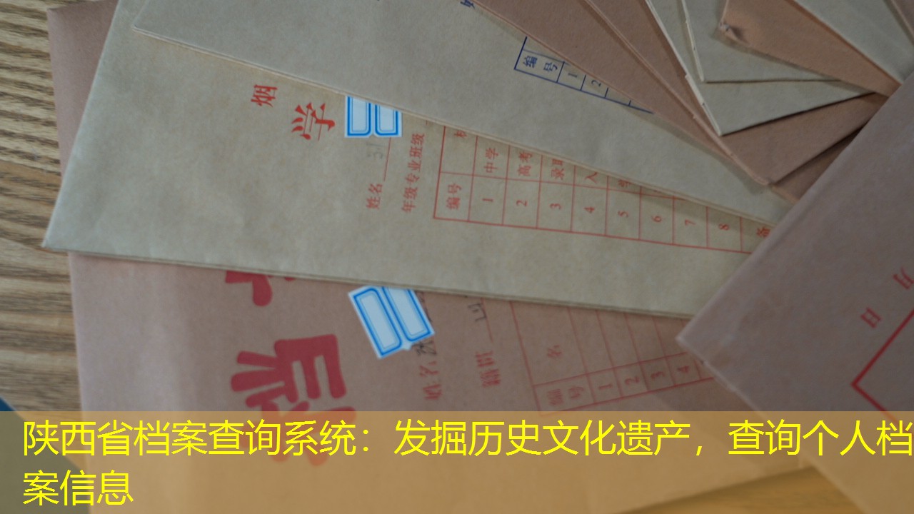 档案查询