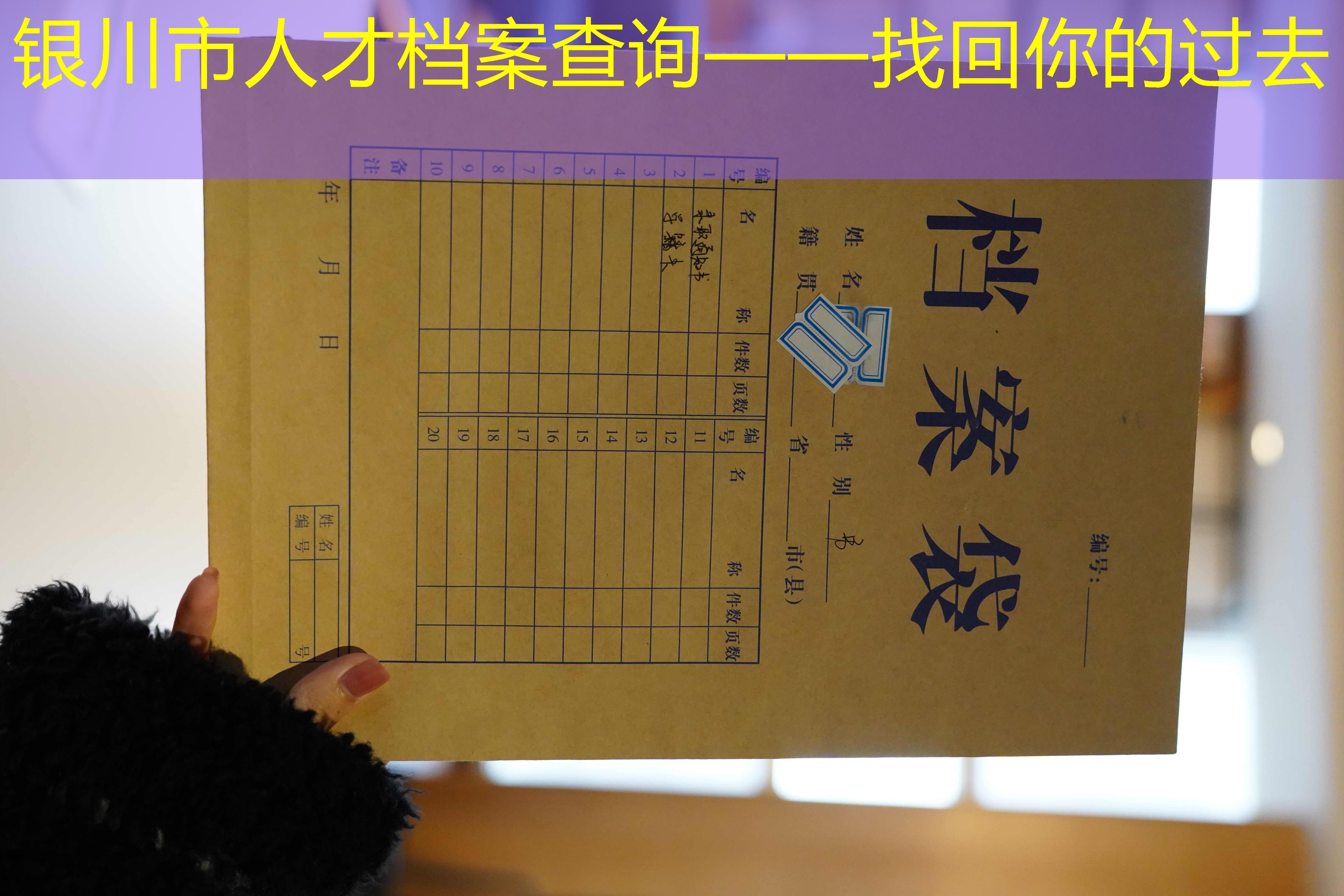 档案查询