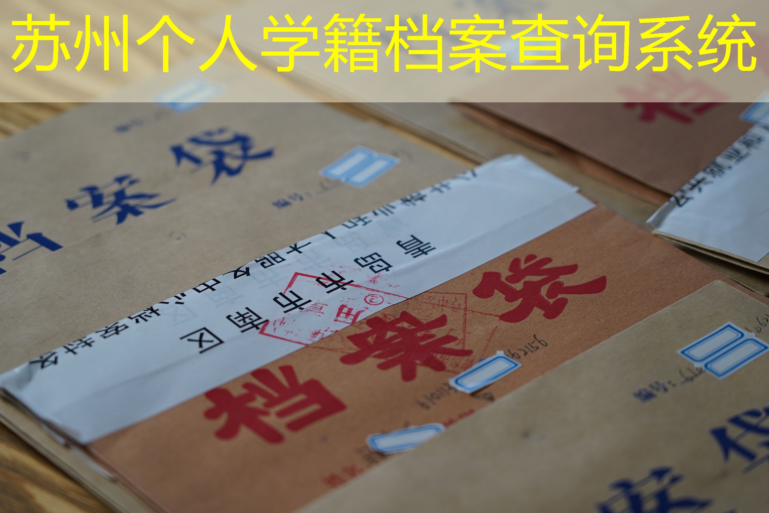 档案查询