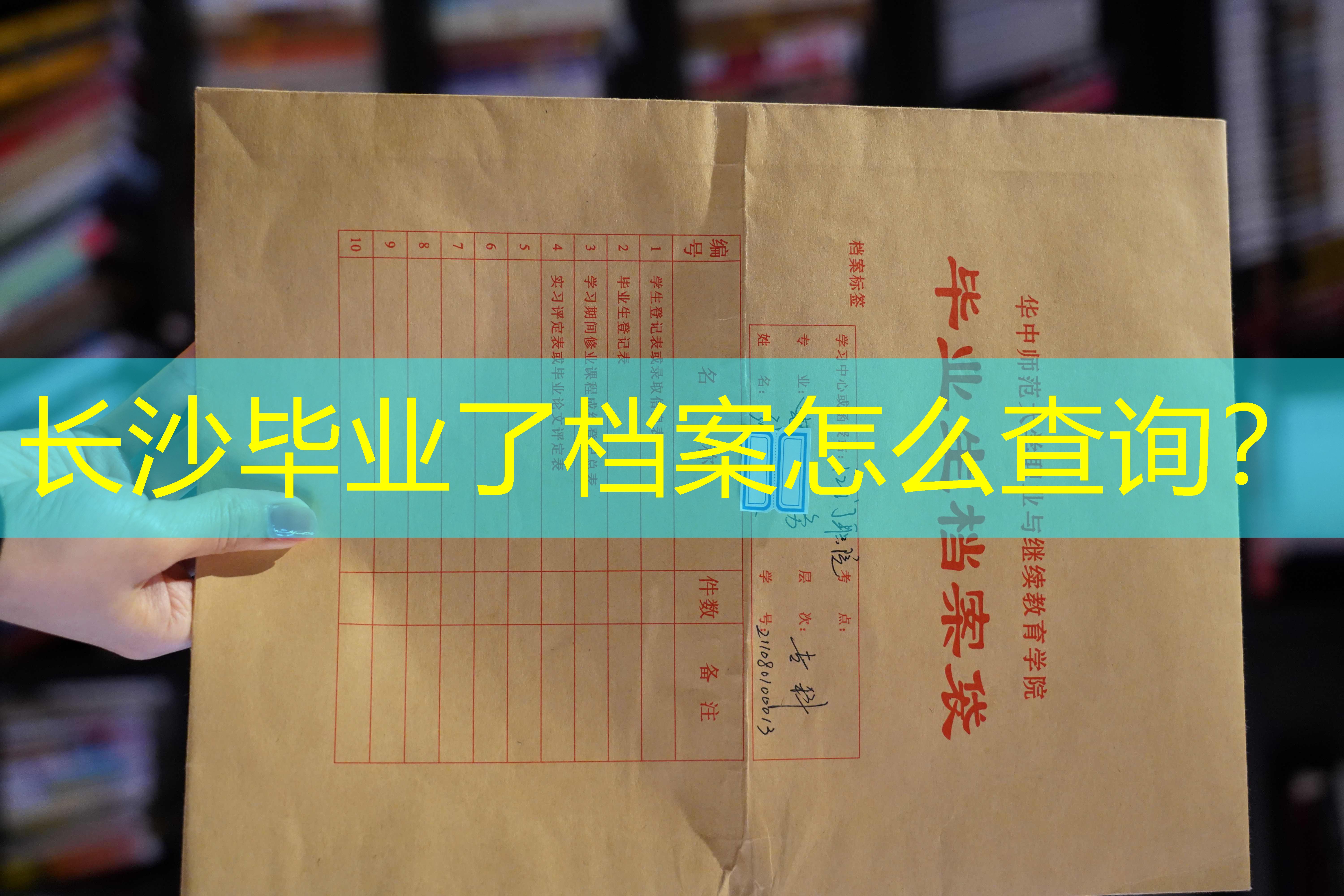 档案查询