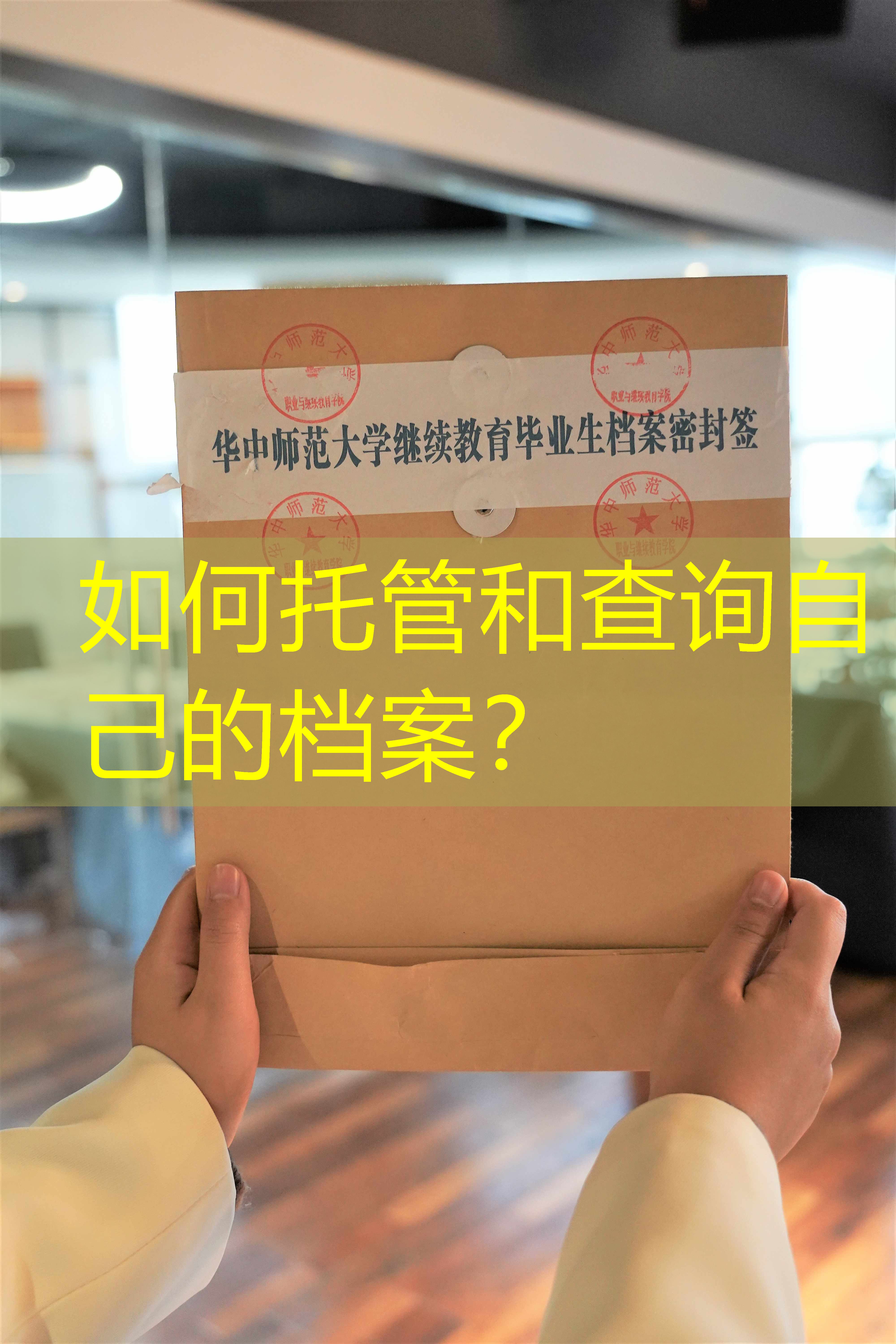 档案查询