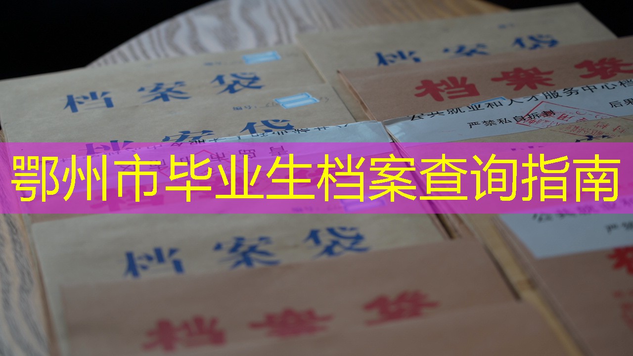 档案查询