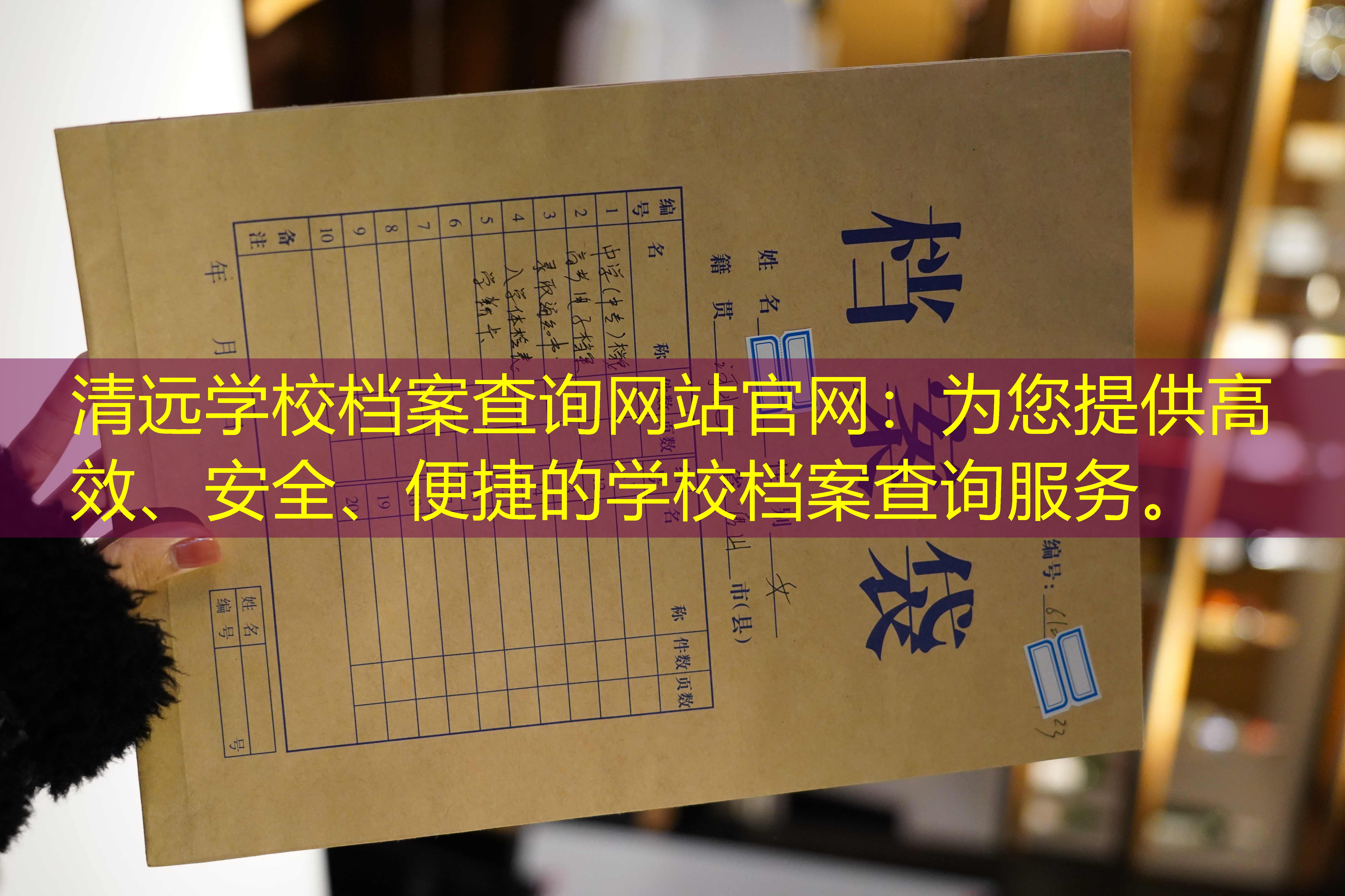 档案查询