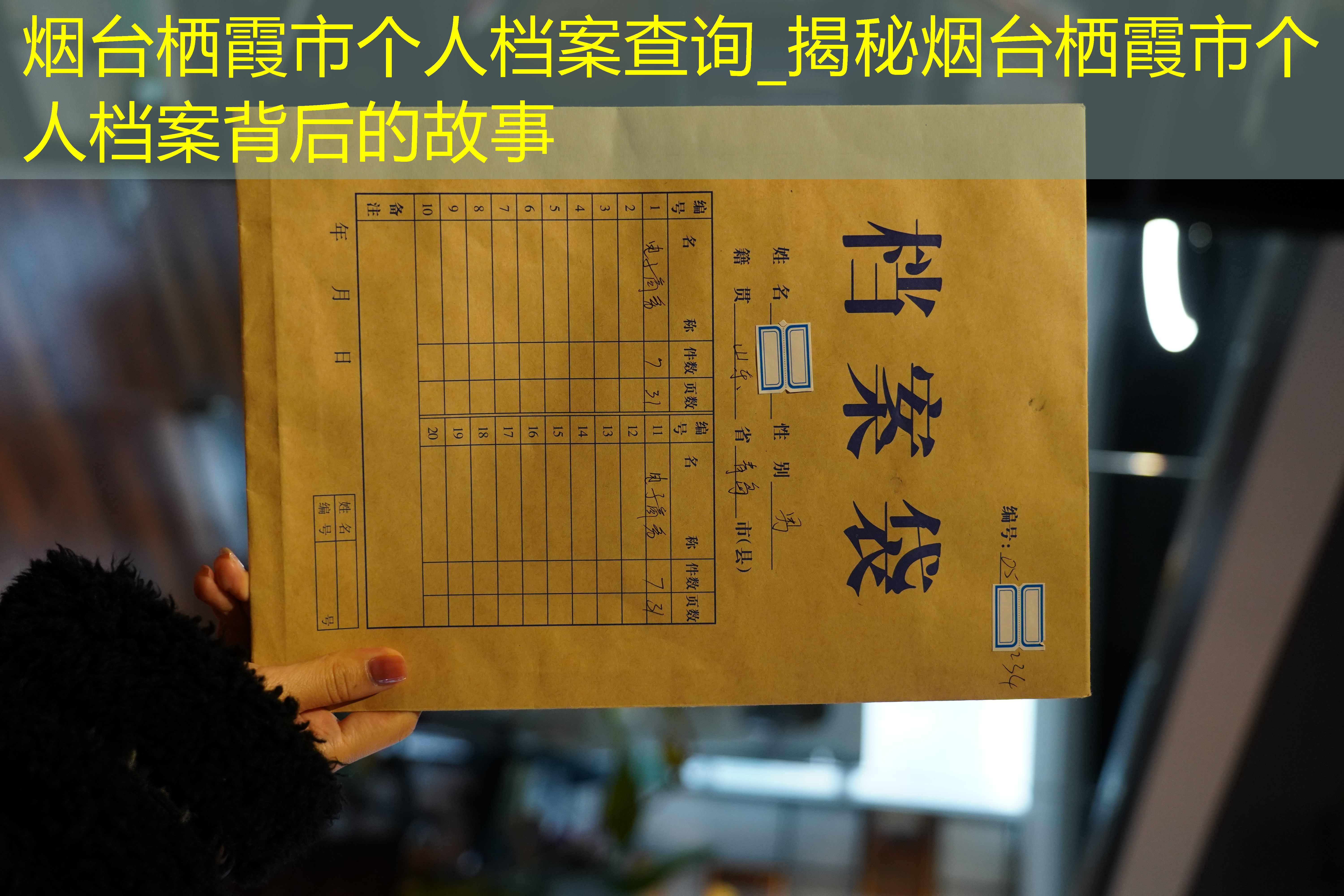 档案查询