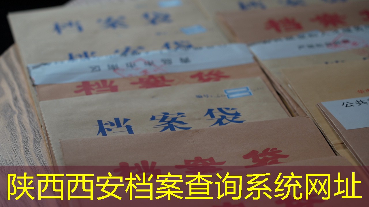 档案查询