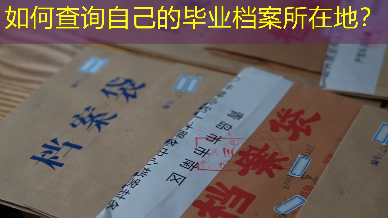 档案查询