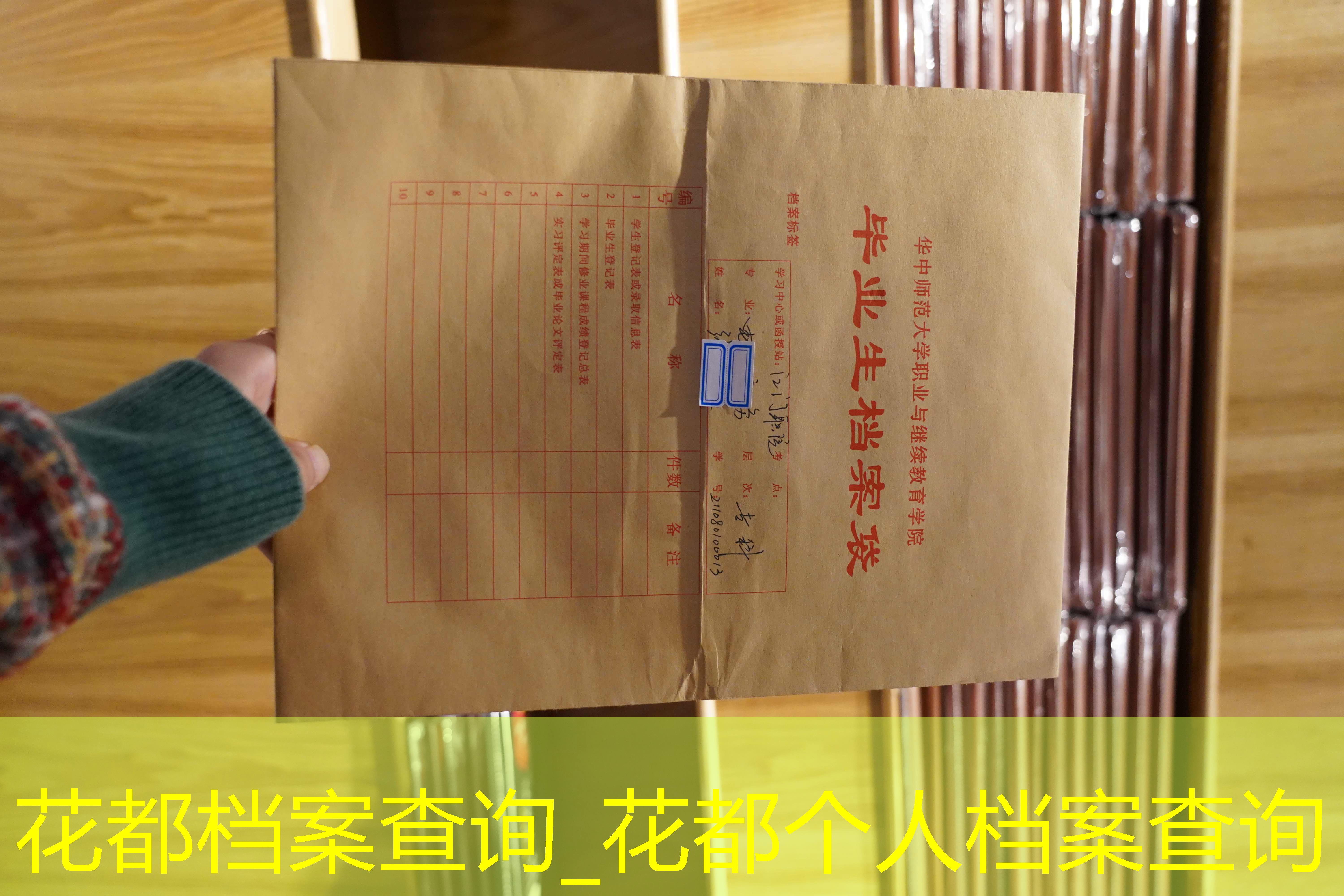 档案查询