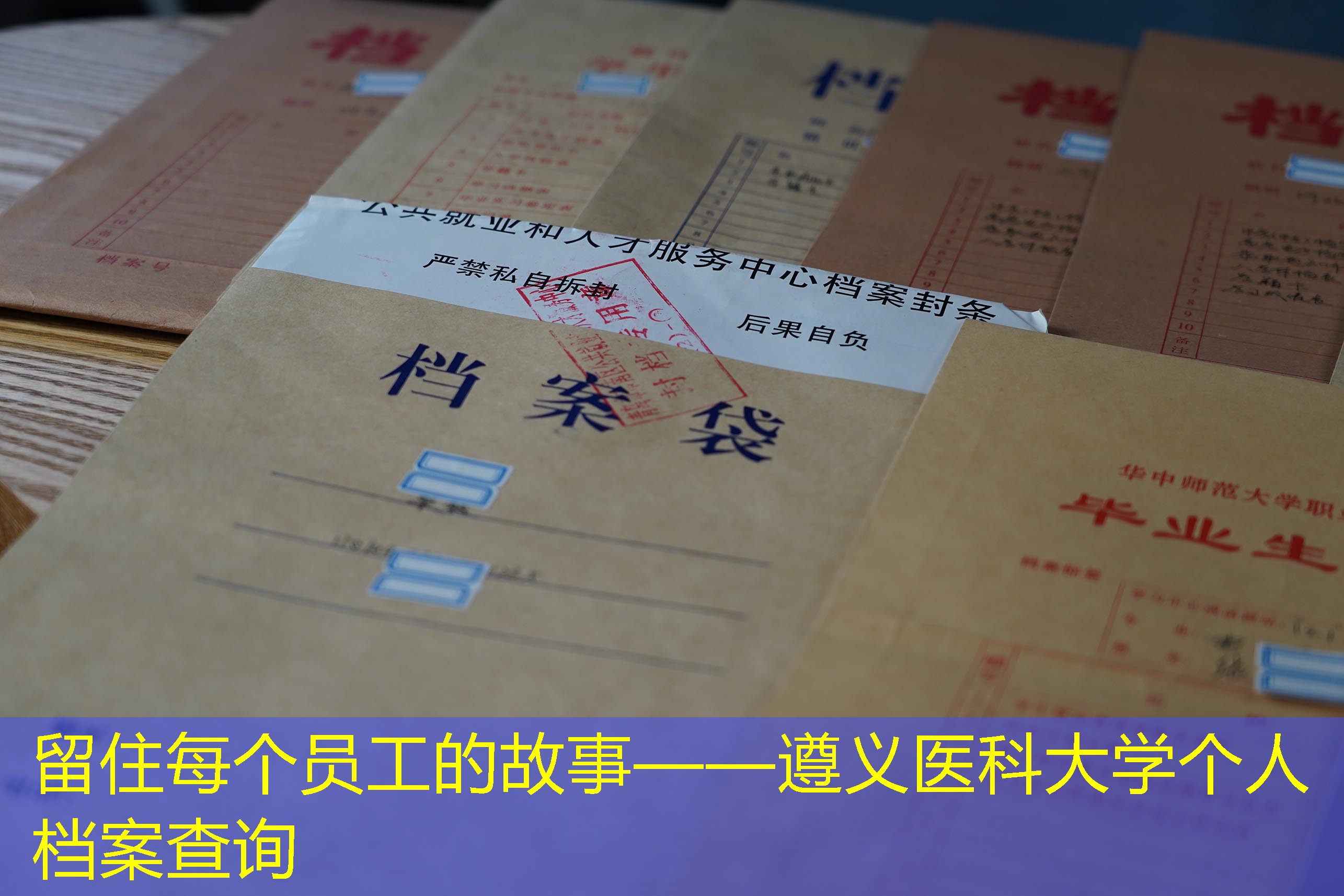 档案查询
