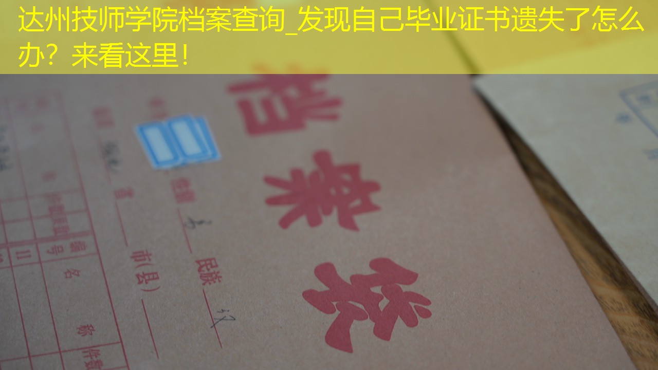 档案查询