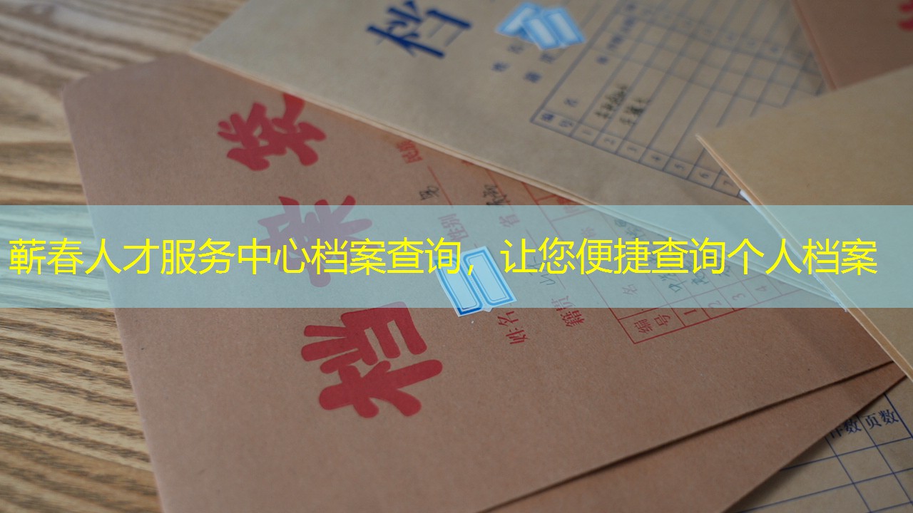 档案查询