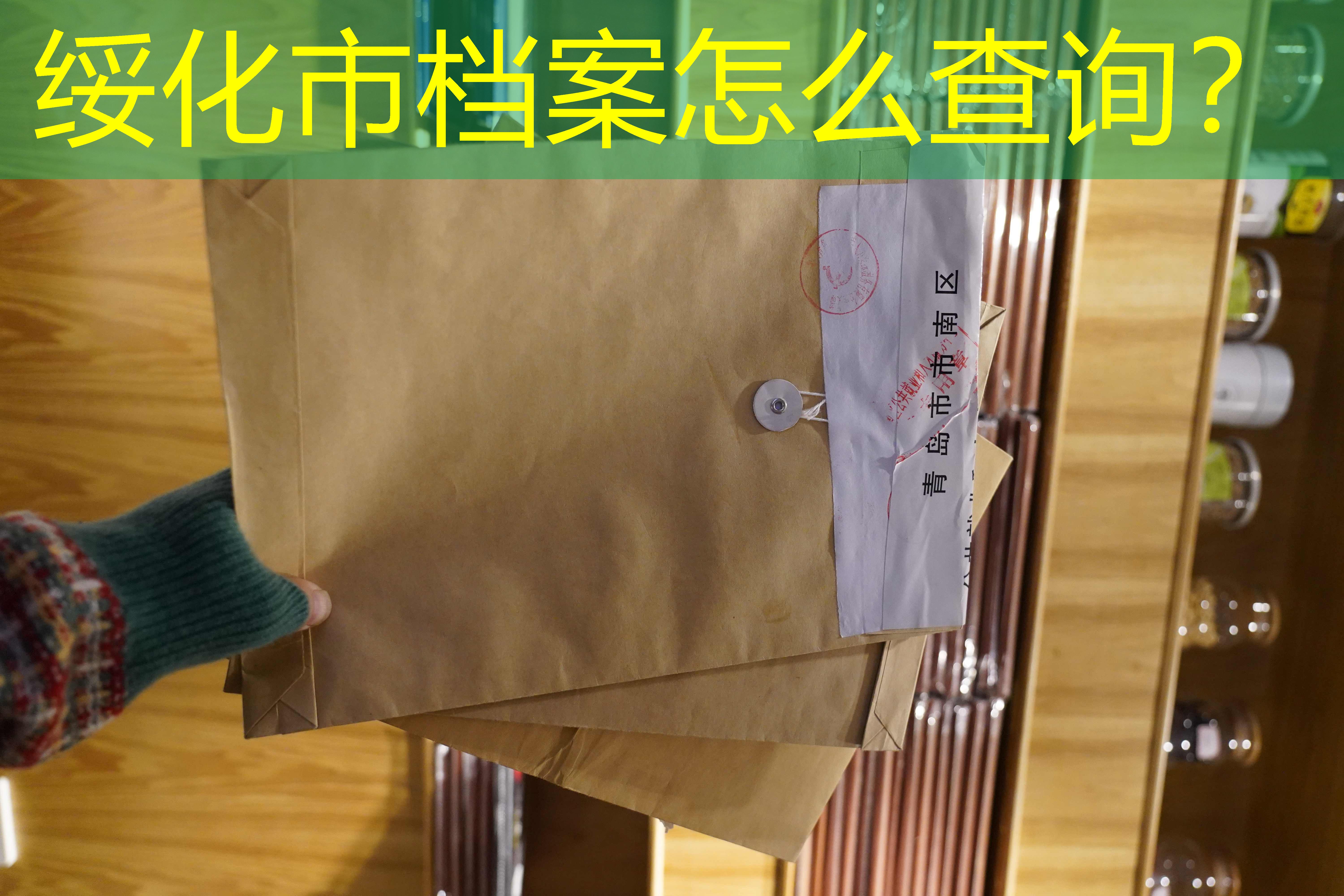档案查询
