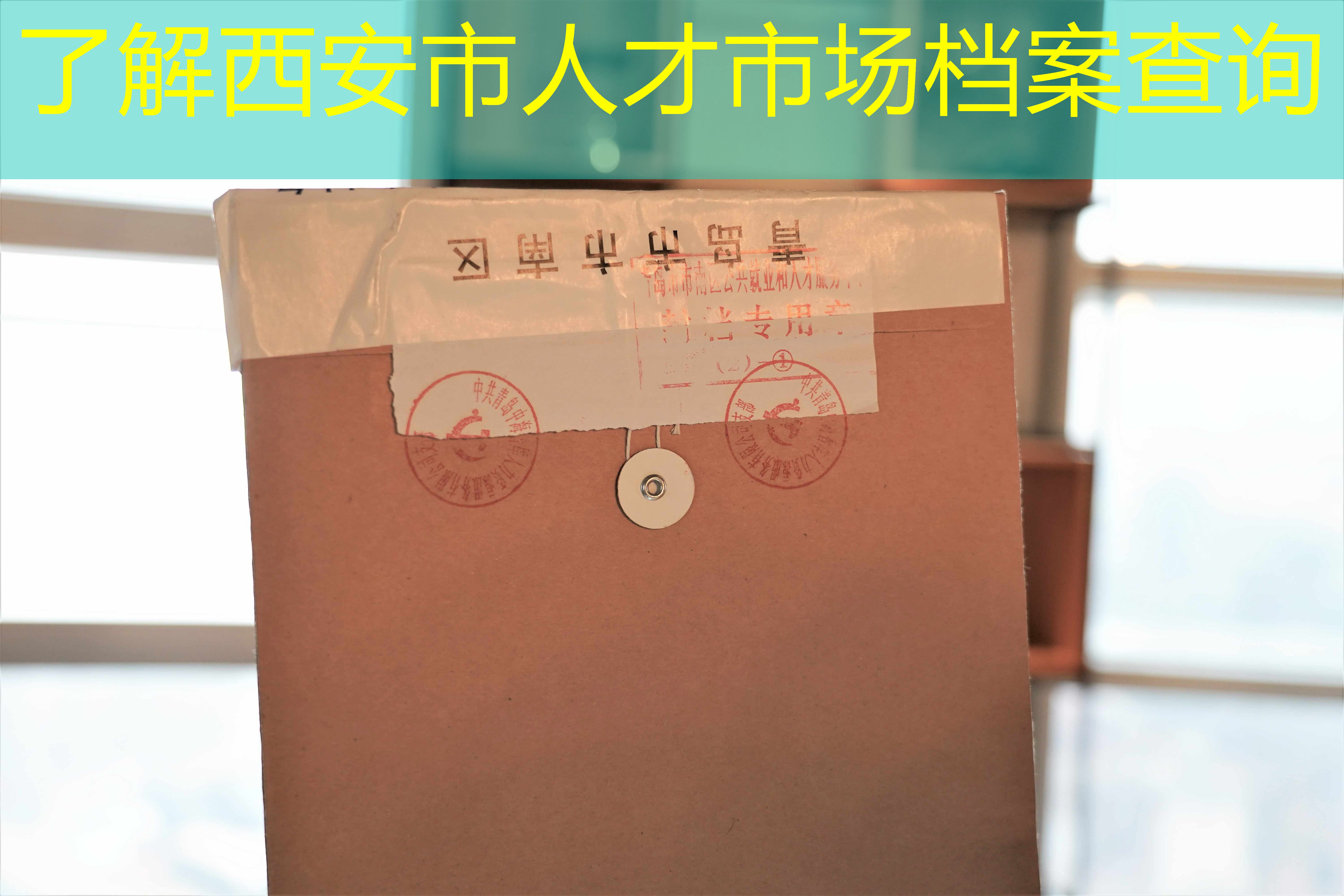 档案查询