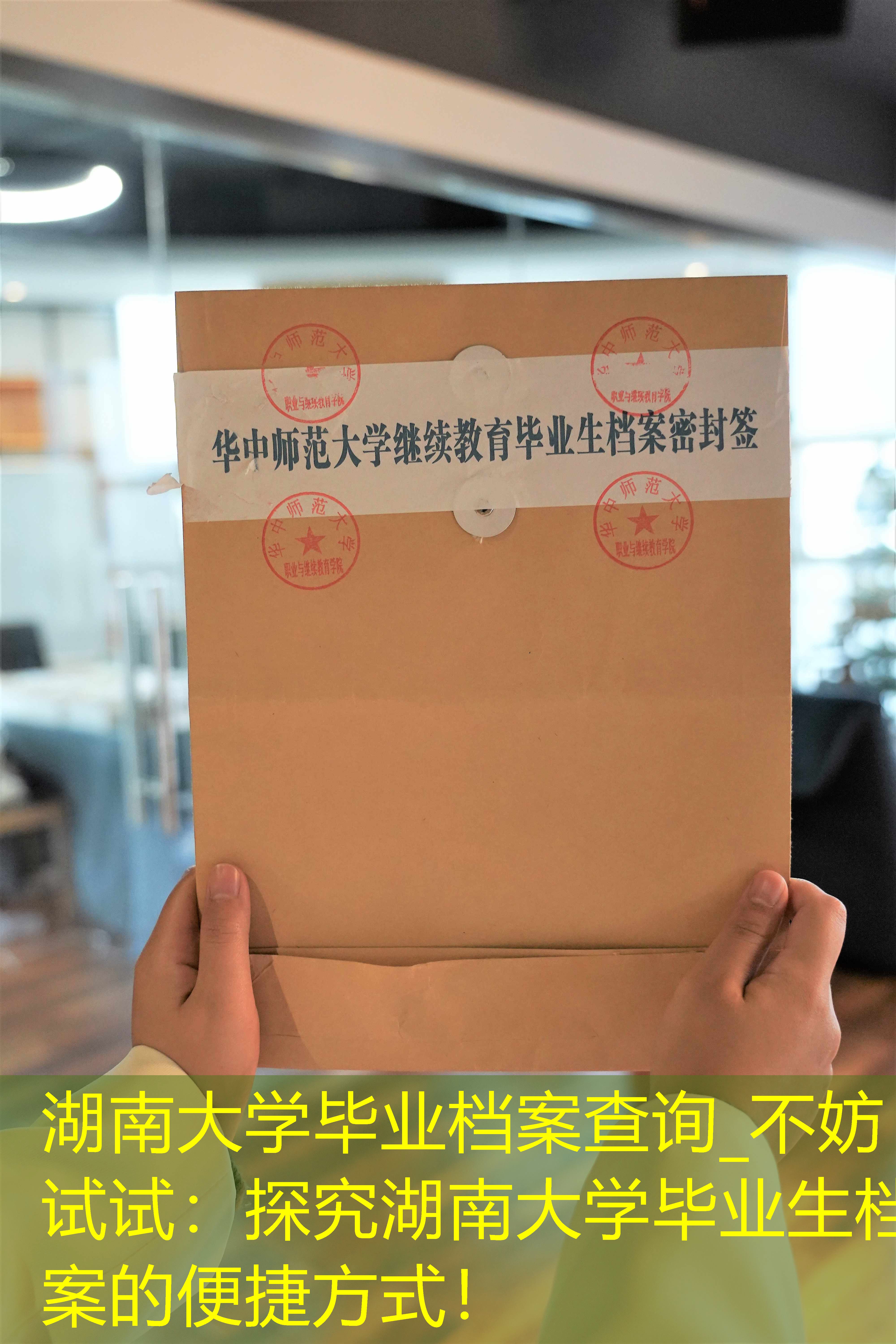 档案查询