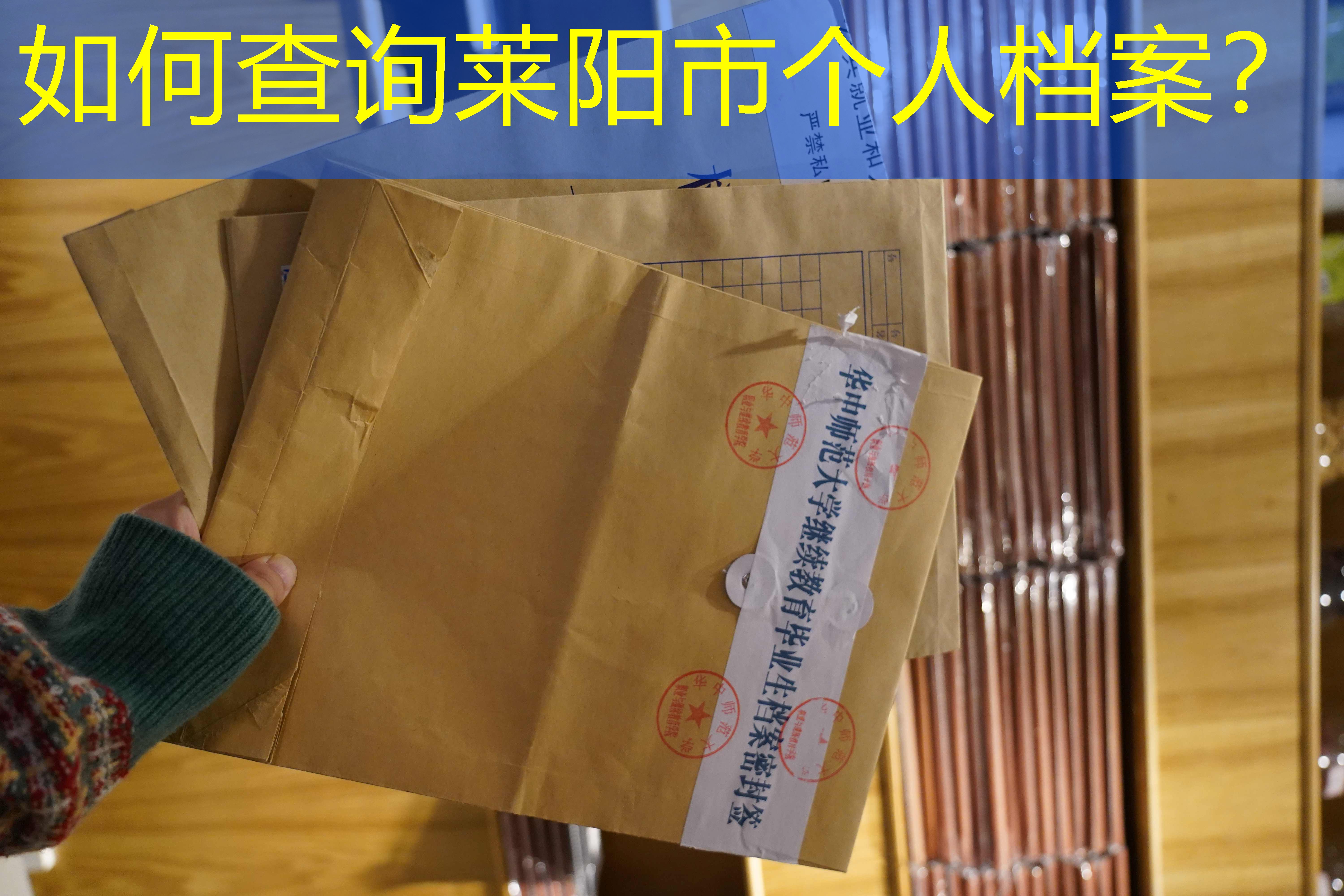 档案查询