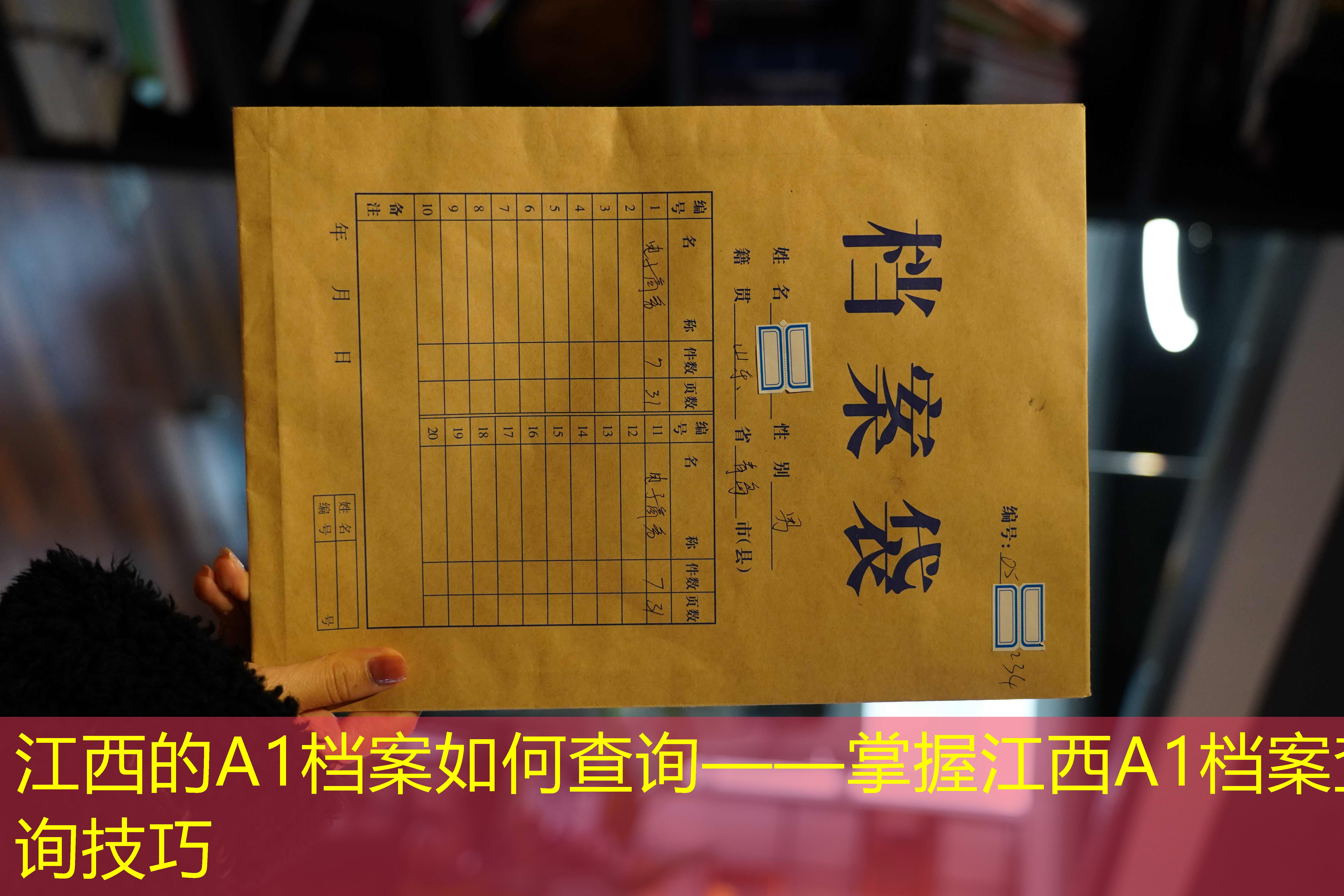 档案查询