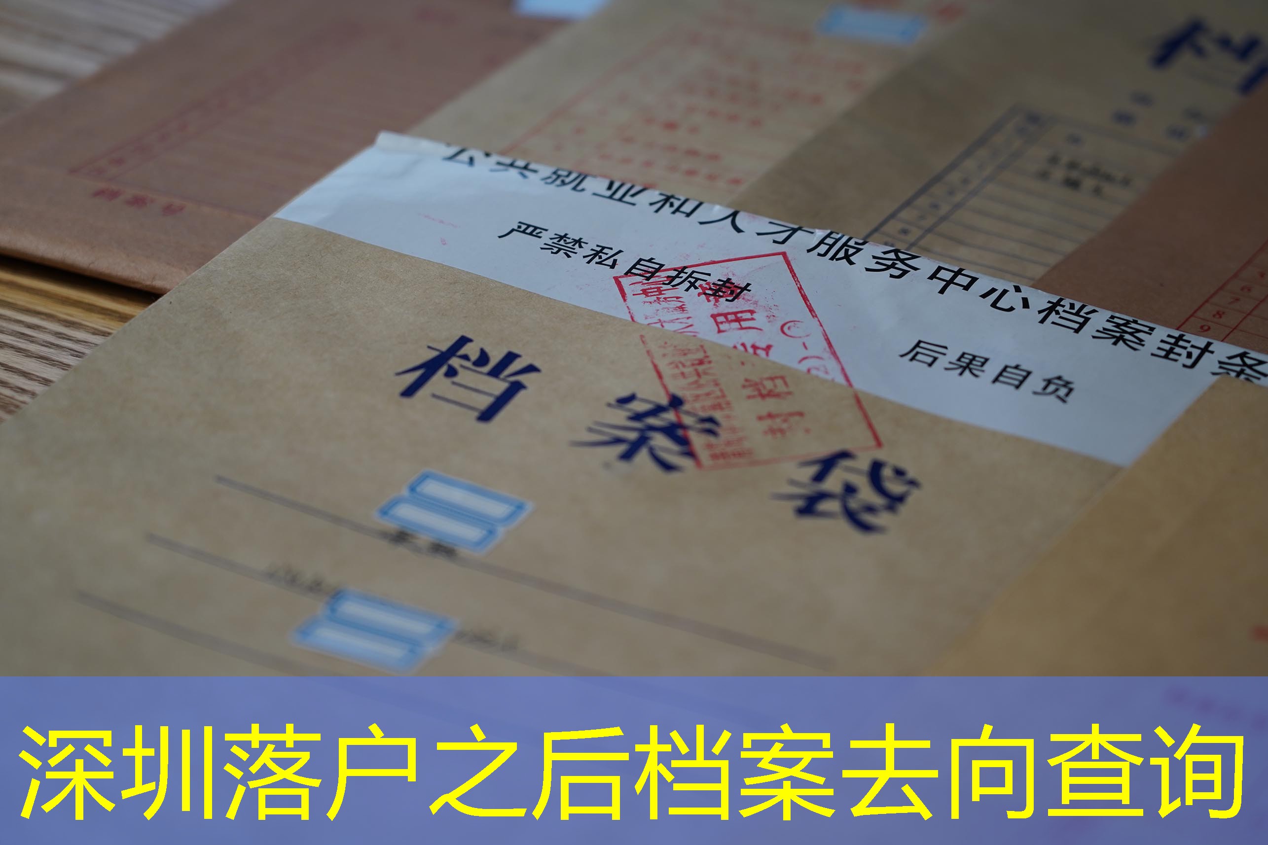档案查询