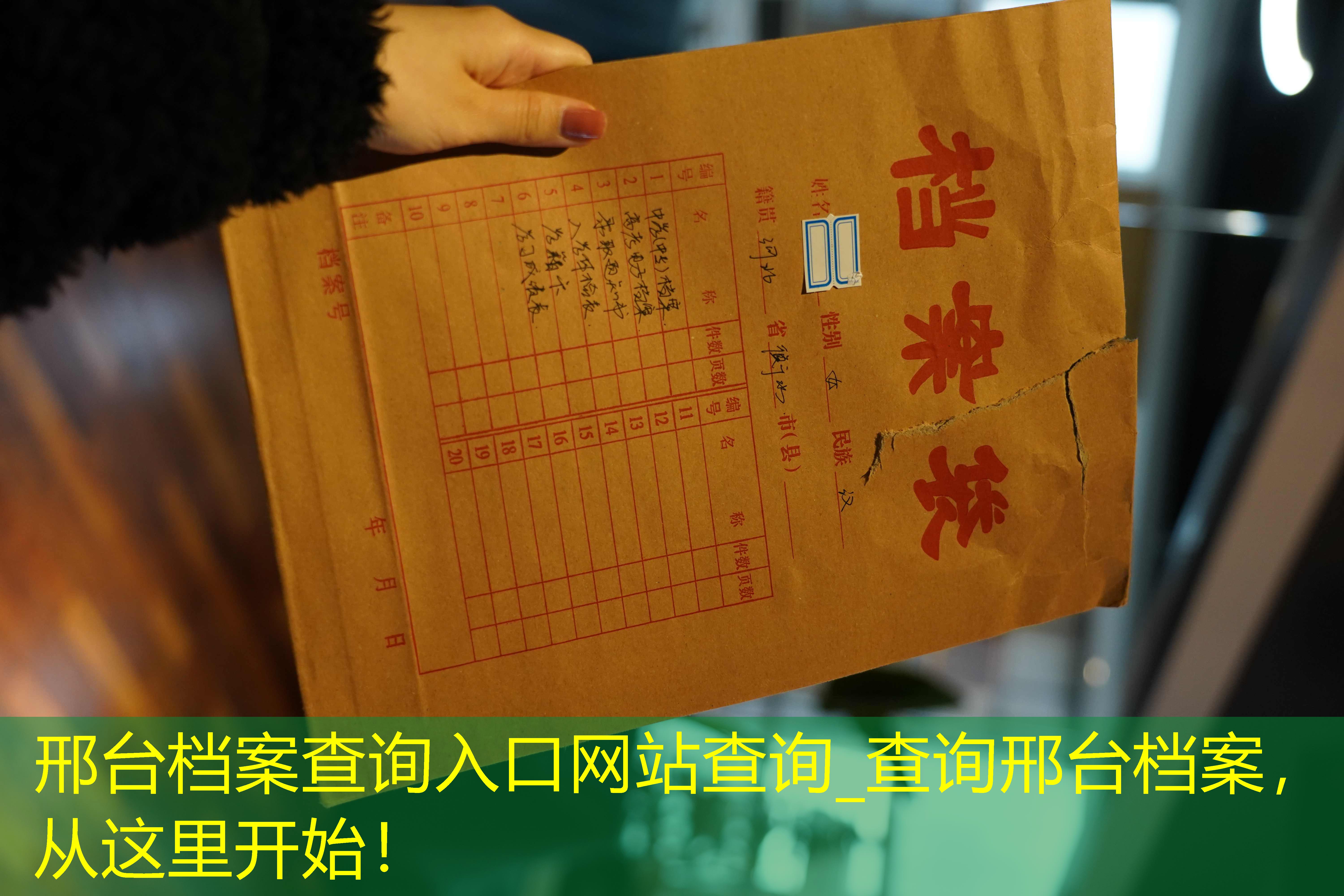 档案查询