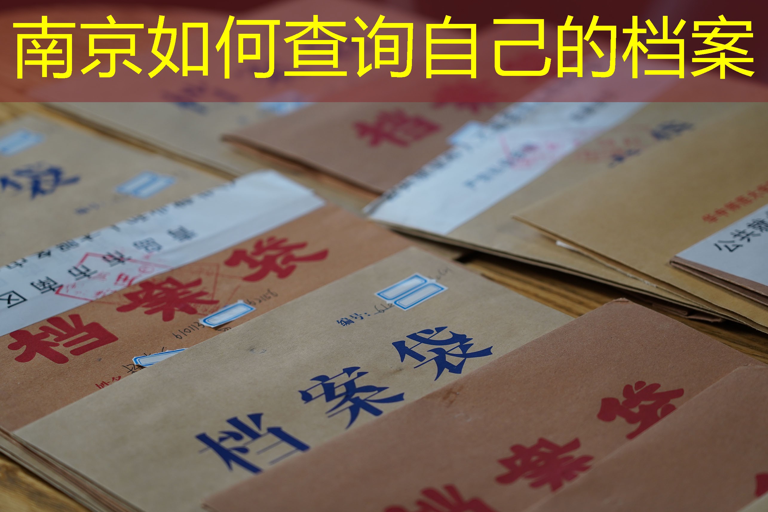 档案查询